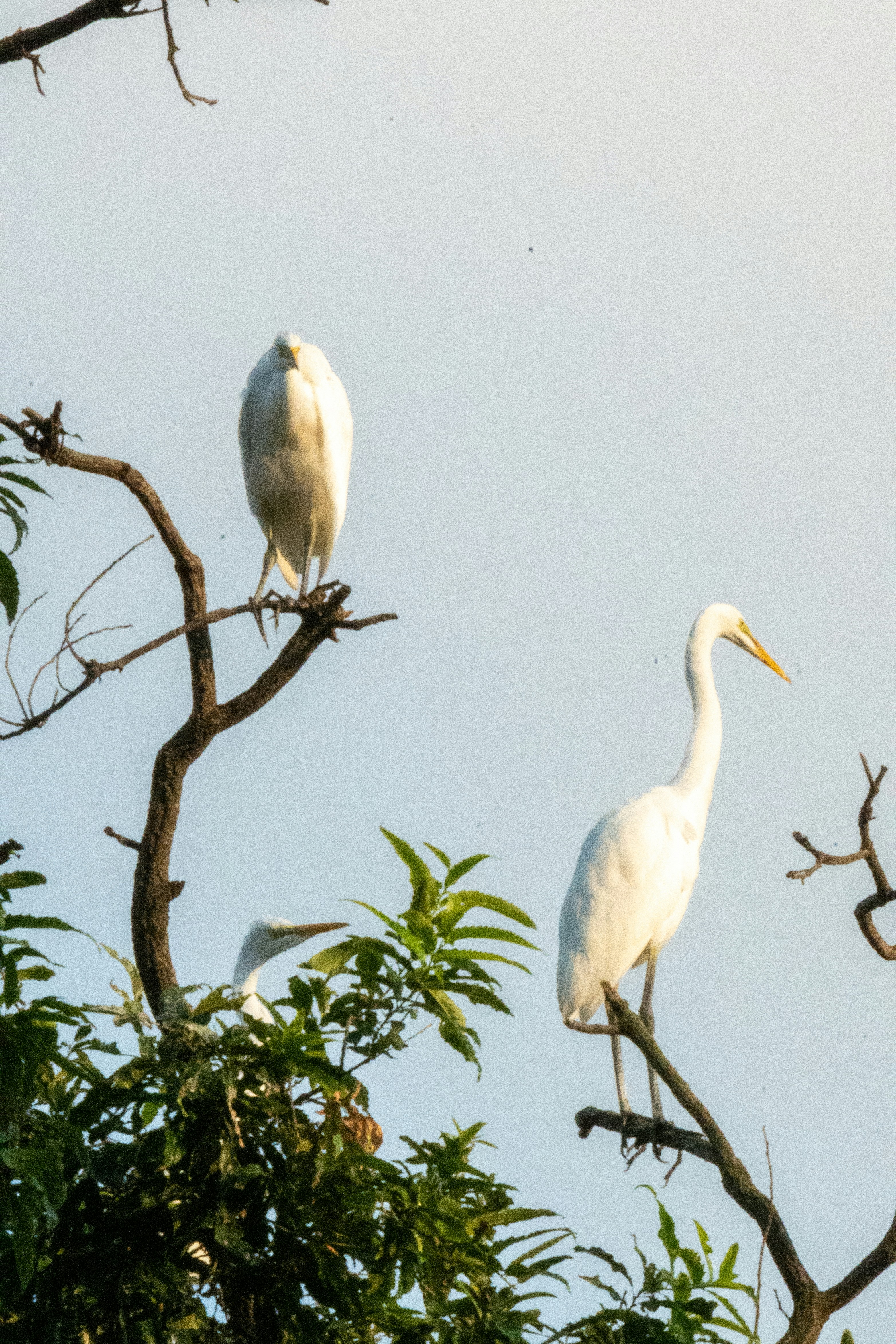 Photo by ttokttak_noir