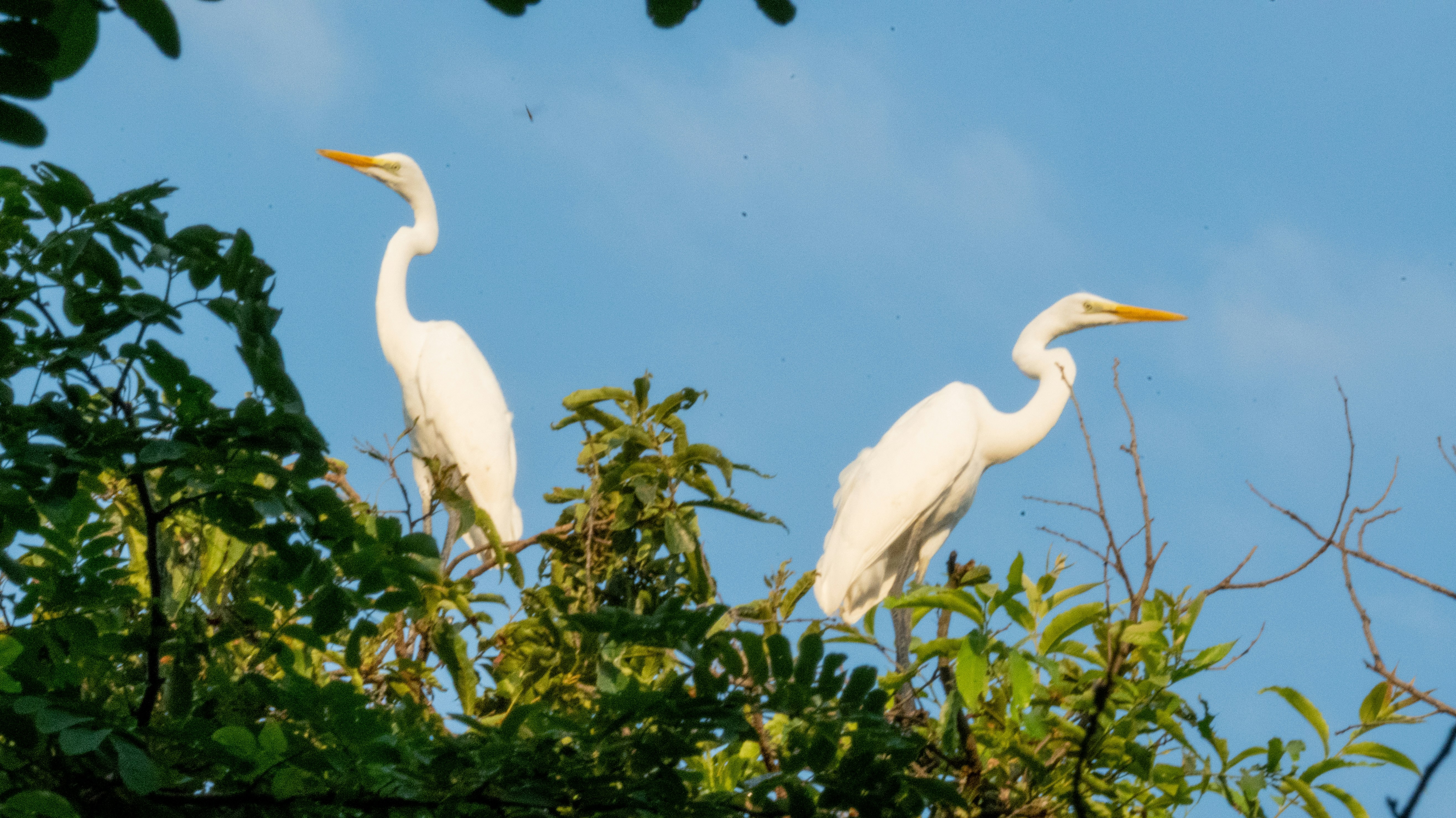 Photo by ttokttak_noir