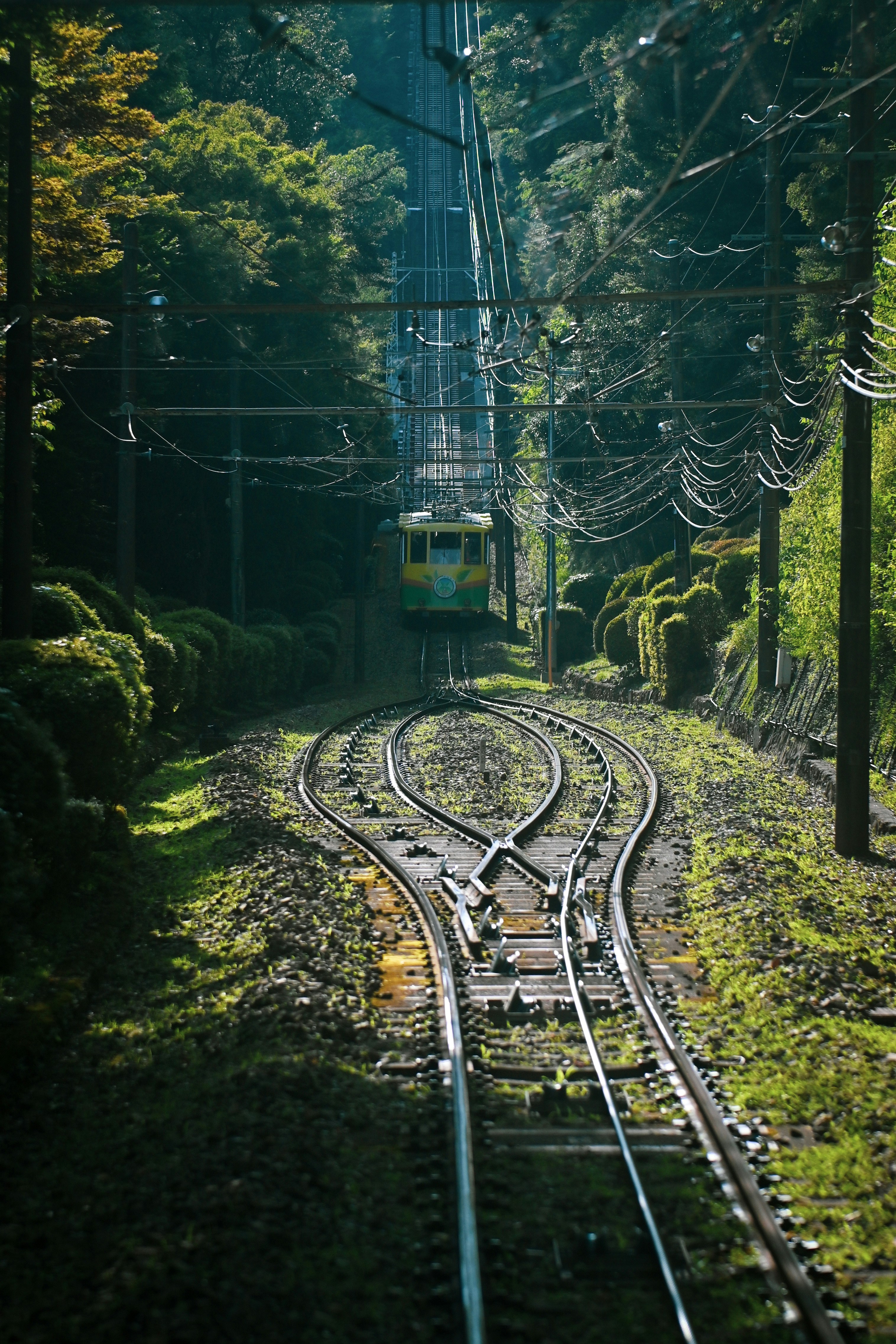 Photo by million_chopsticks