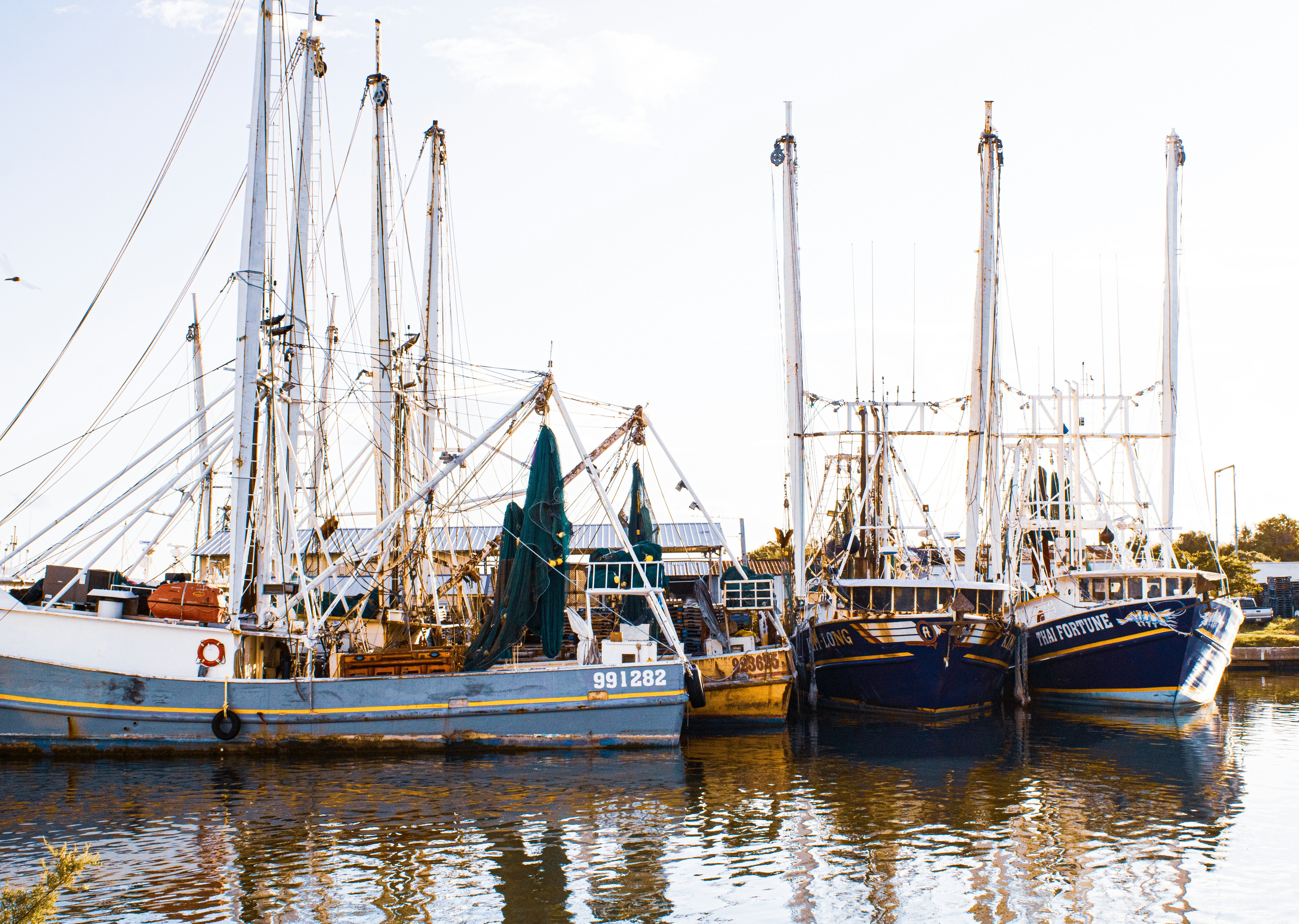 Photo by ronaldacrow