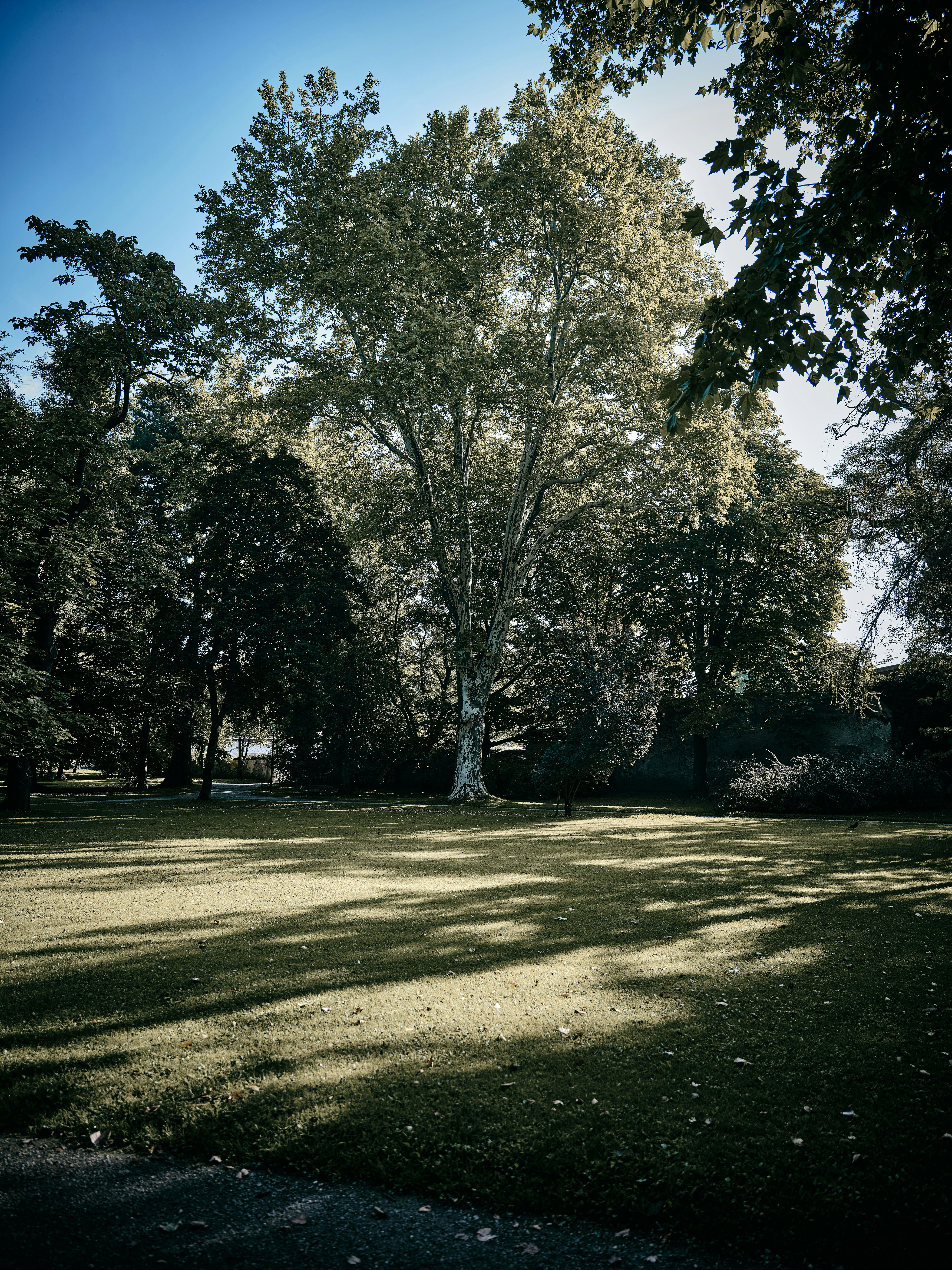 Photo by marcus_ganahl