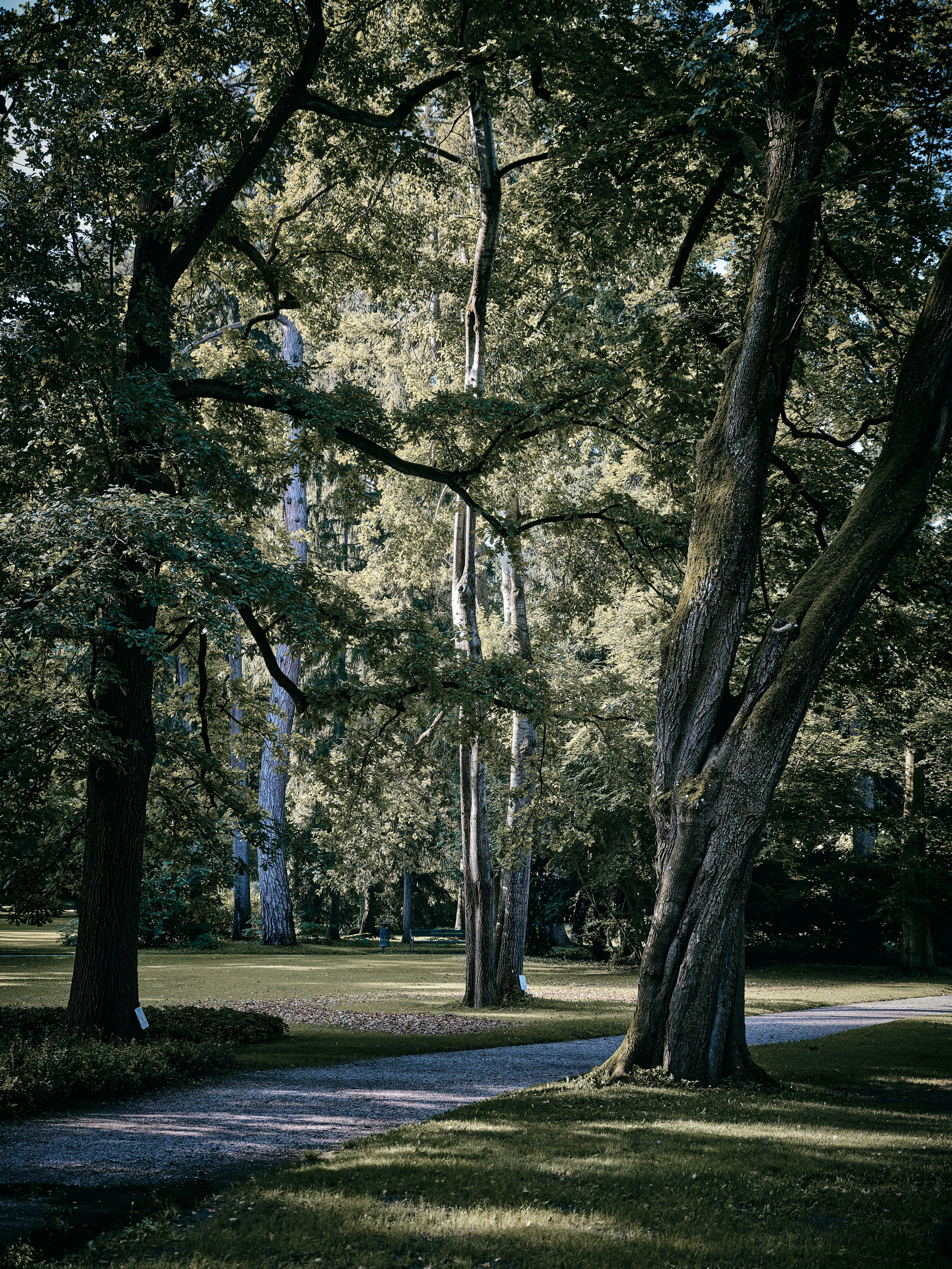 Photo by marcus_ganahl