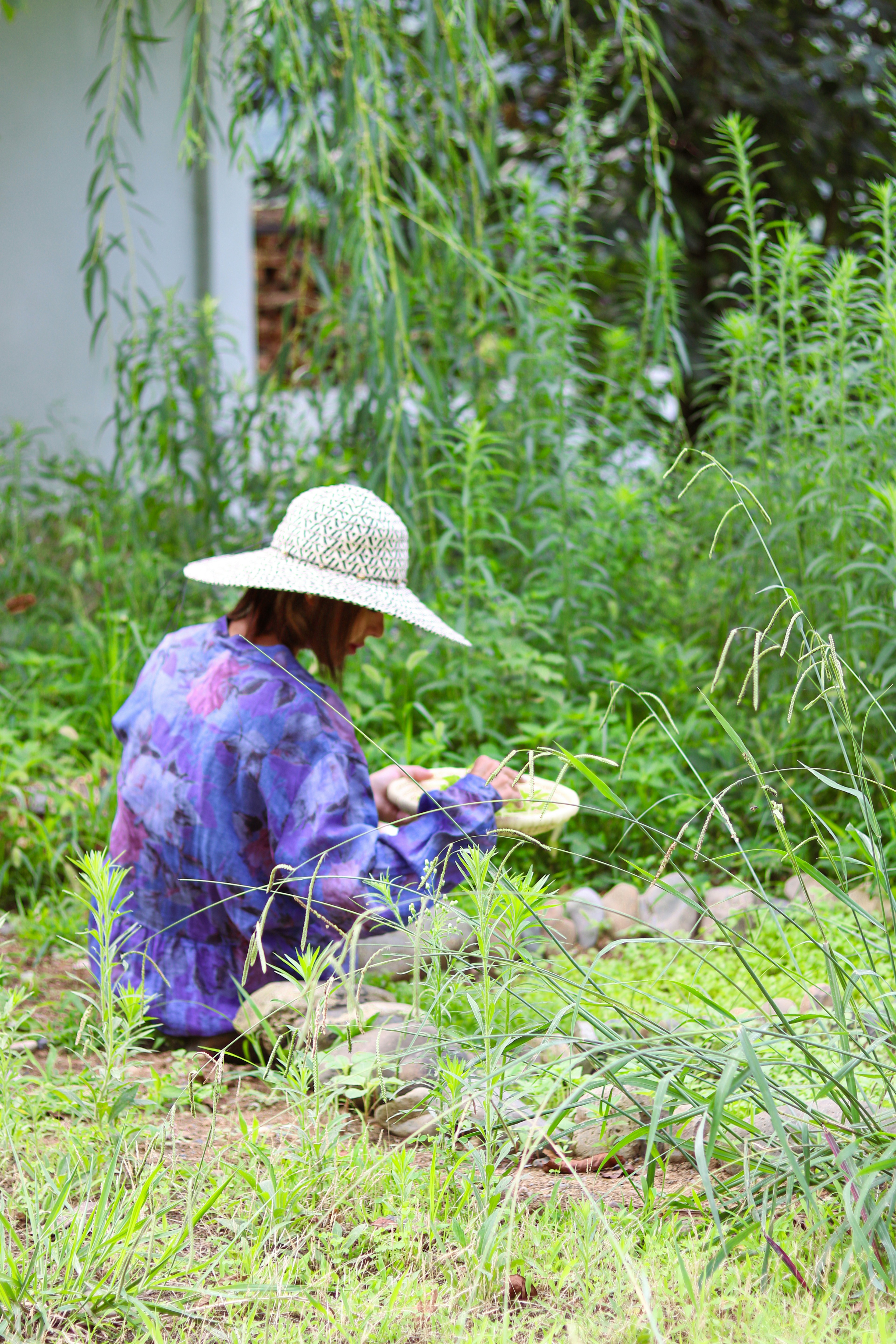 Person in hat harvesting vegetables in a garden