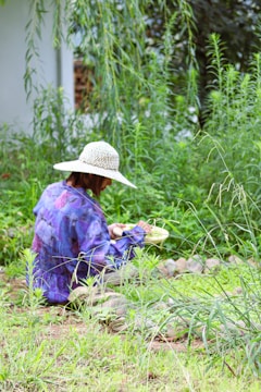 Person in hat harvesting vegetables in a garden