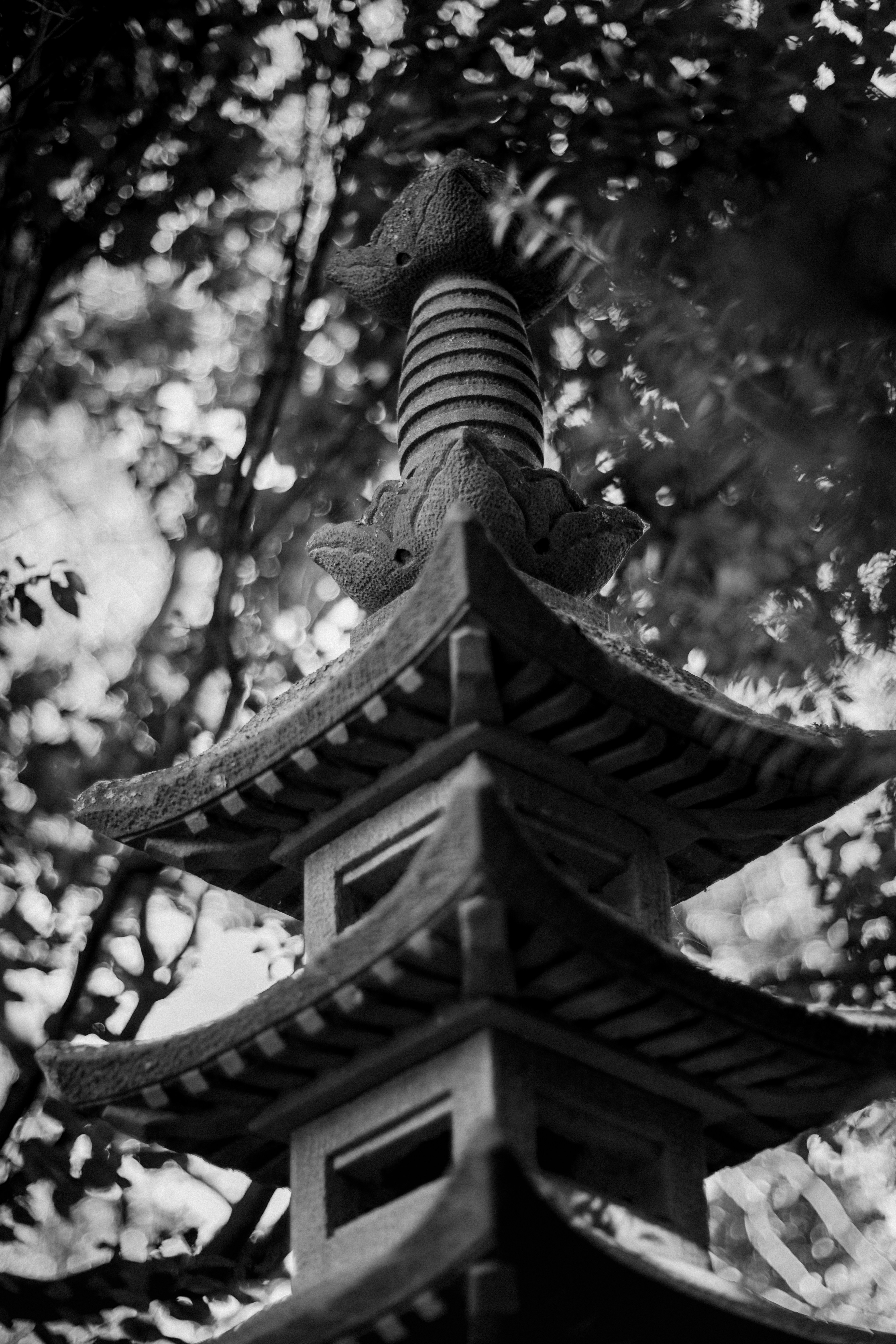 Photo by ninjason
