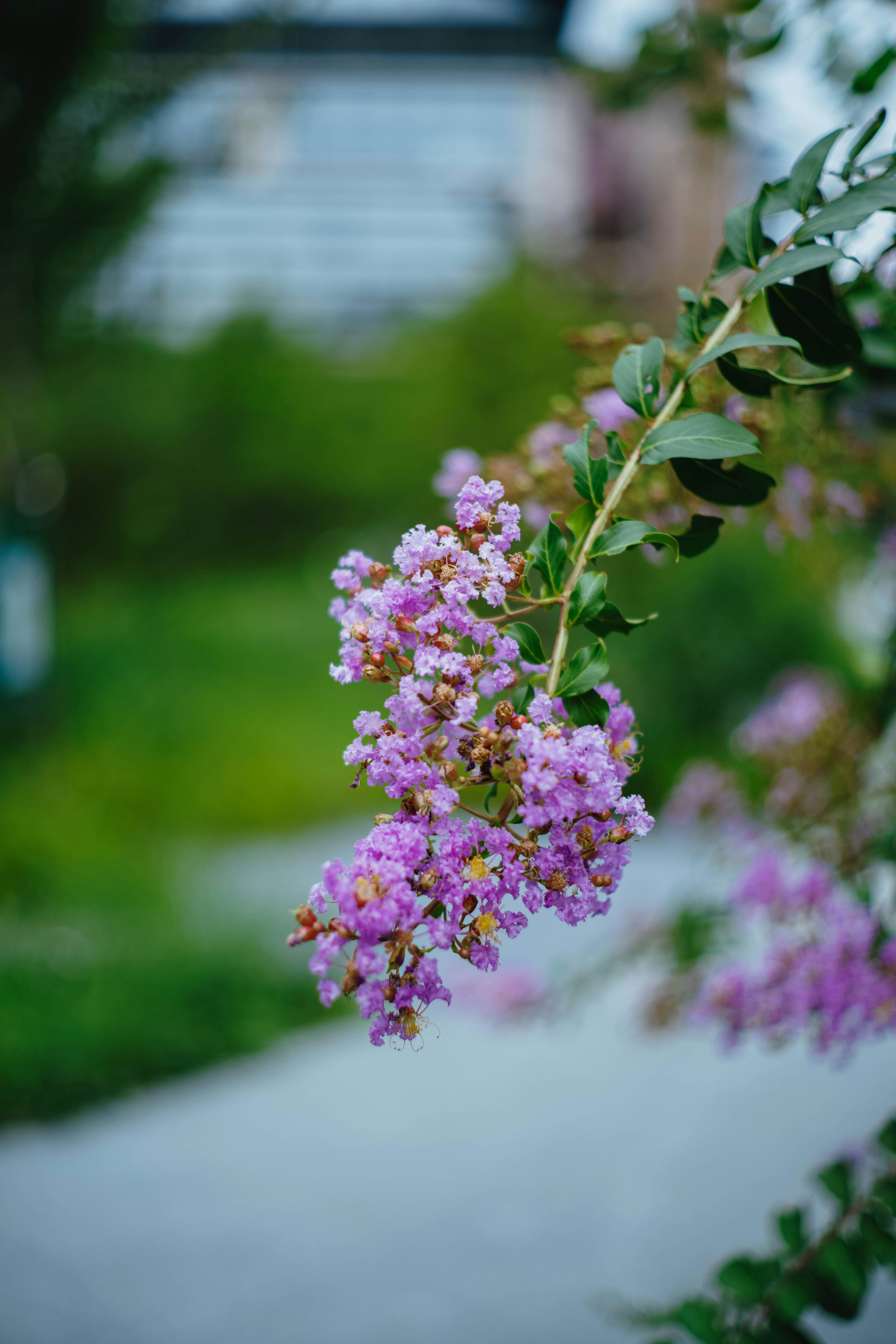 Photo by tommaomaoer