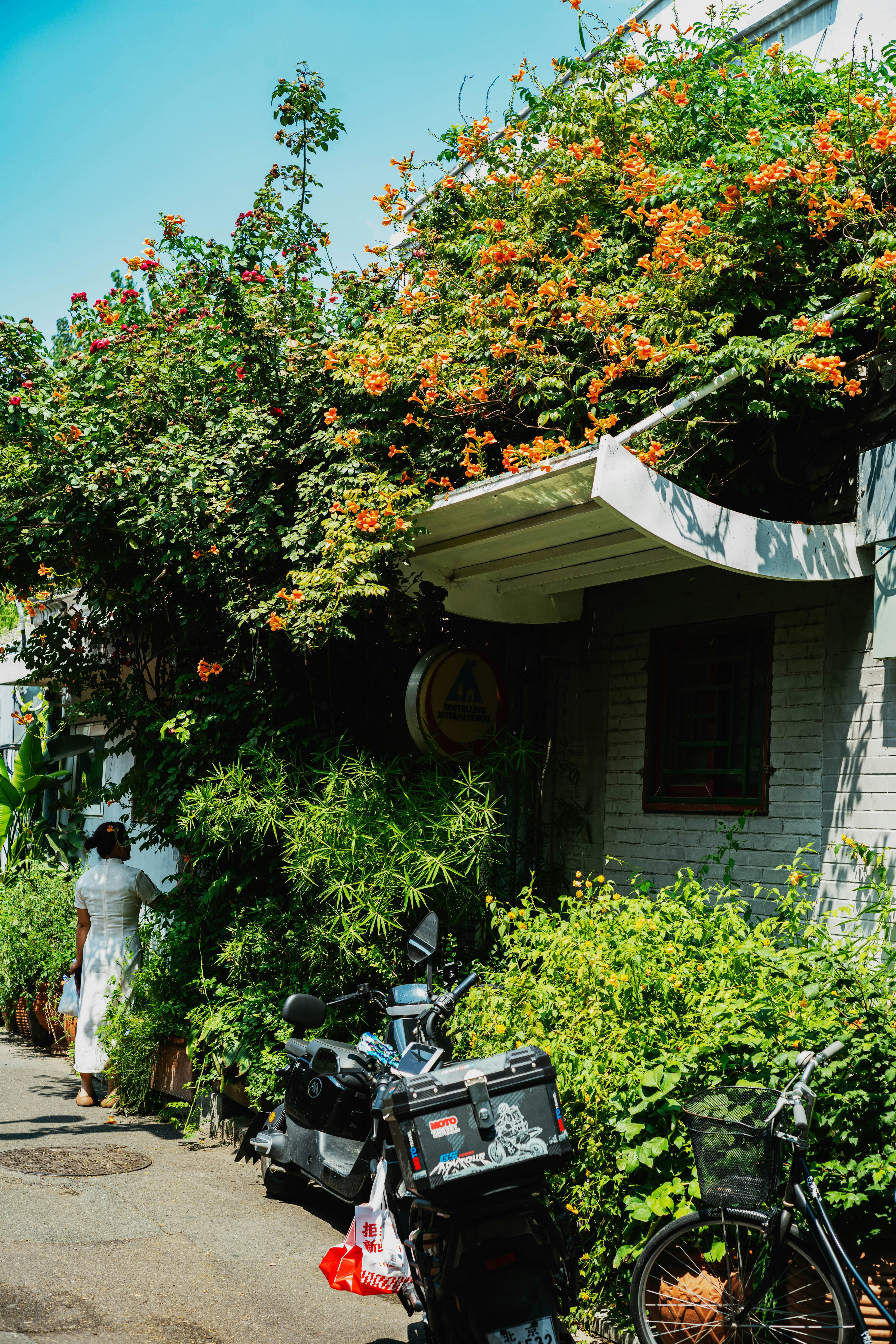 Photo by tommaomaoer