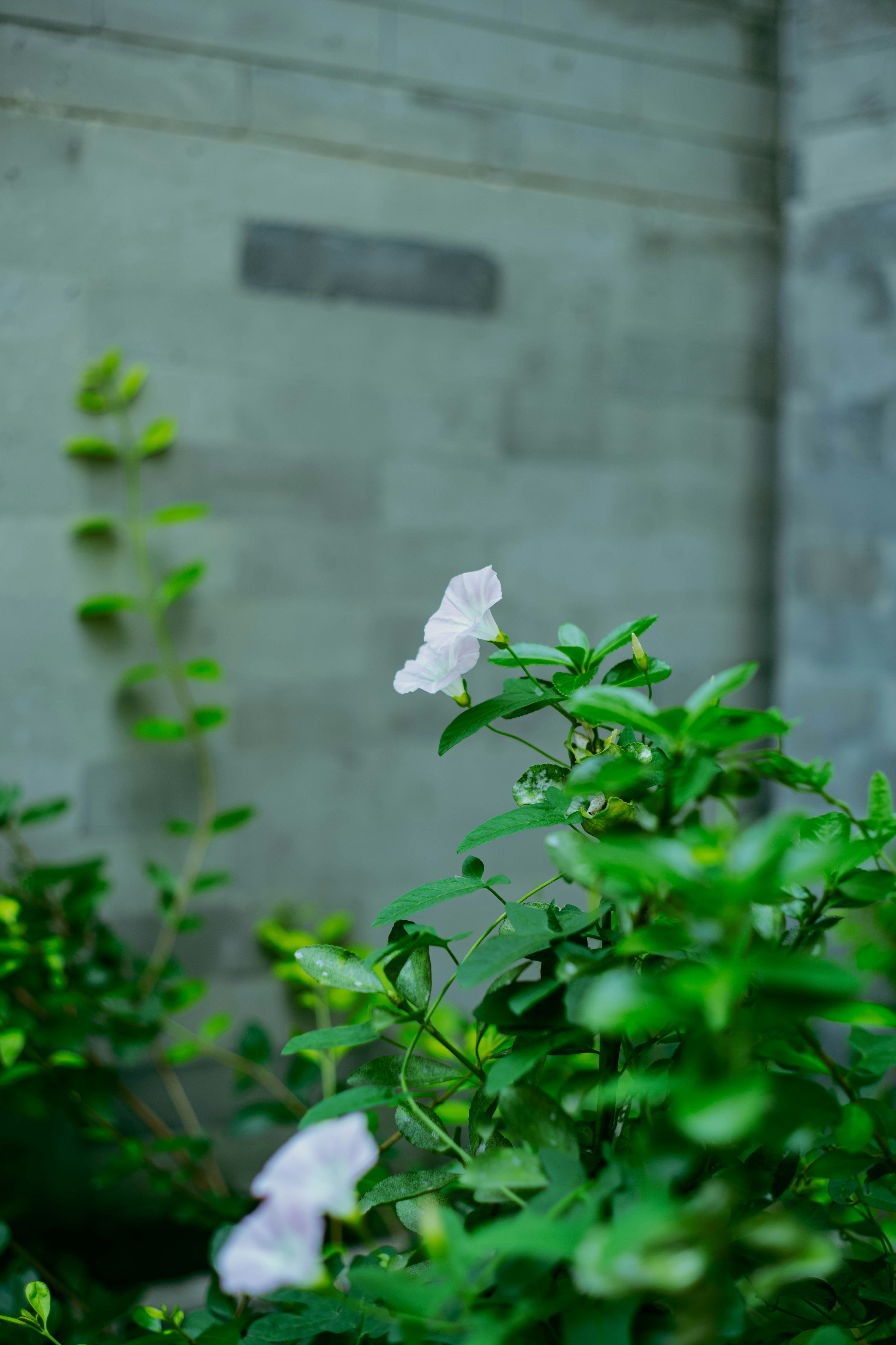 Photo by tommaomaoer