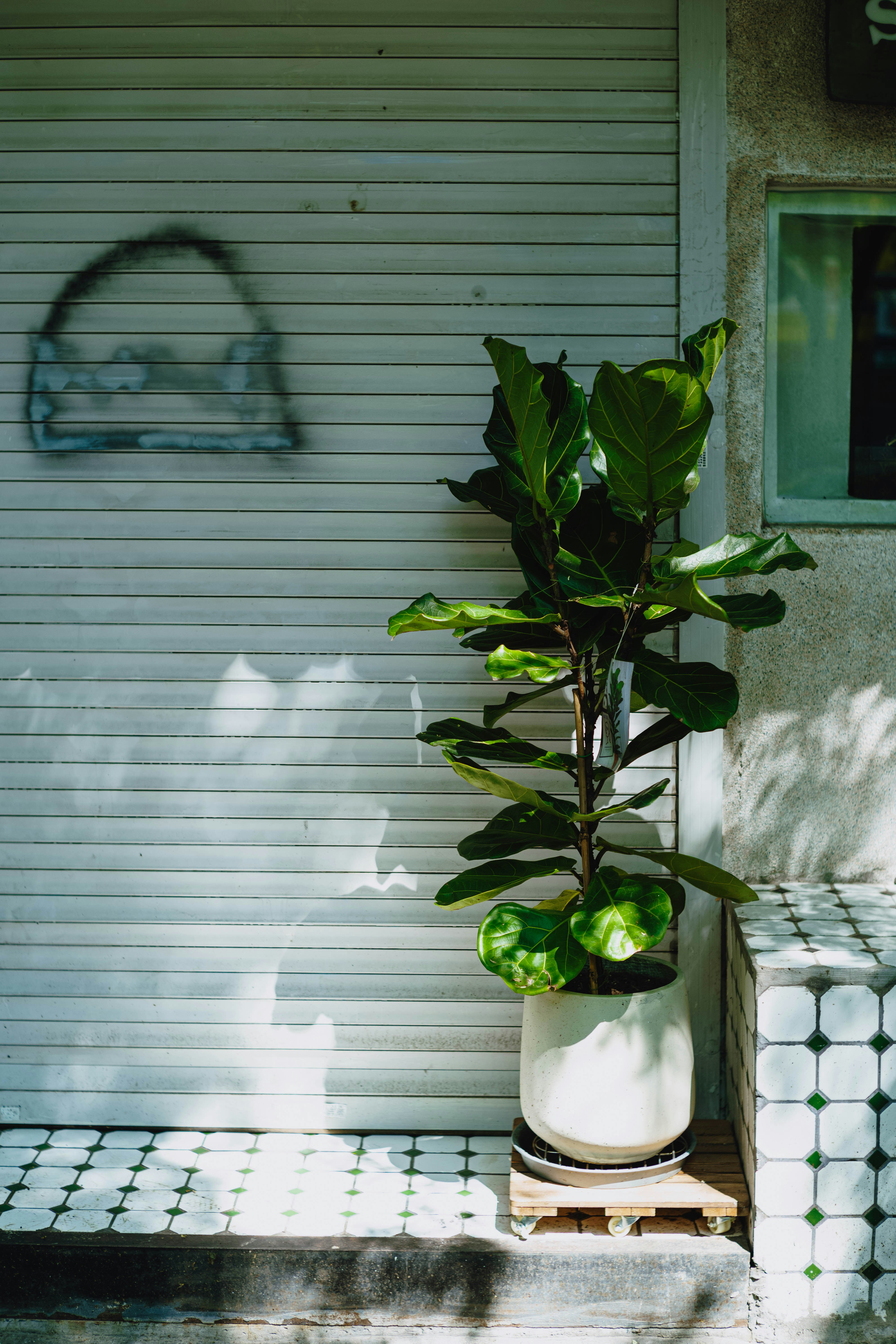 Photo by tommaomaoer