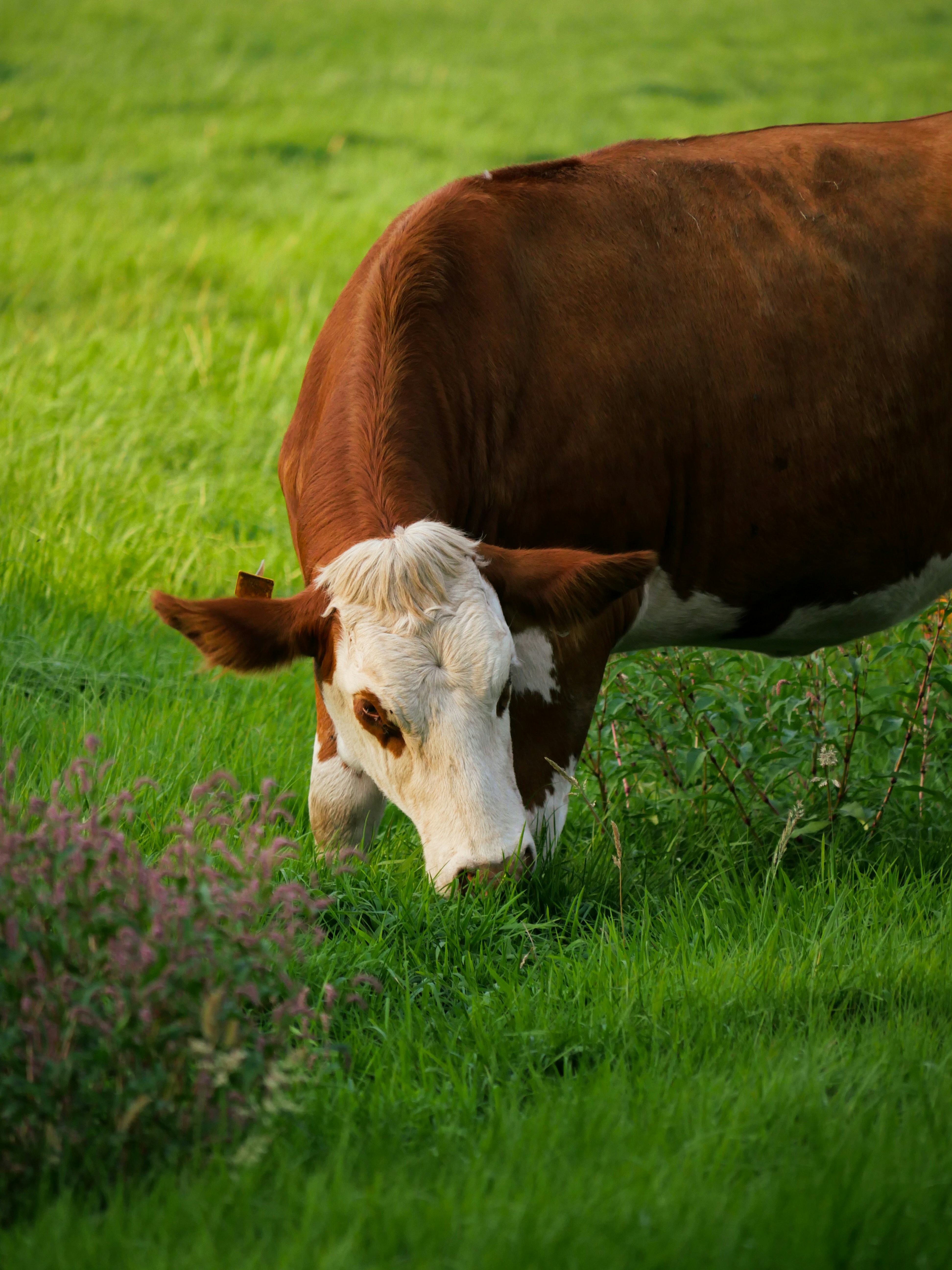 Photo by juttaelisabeth1