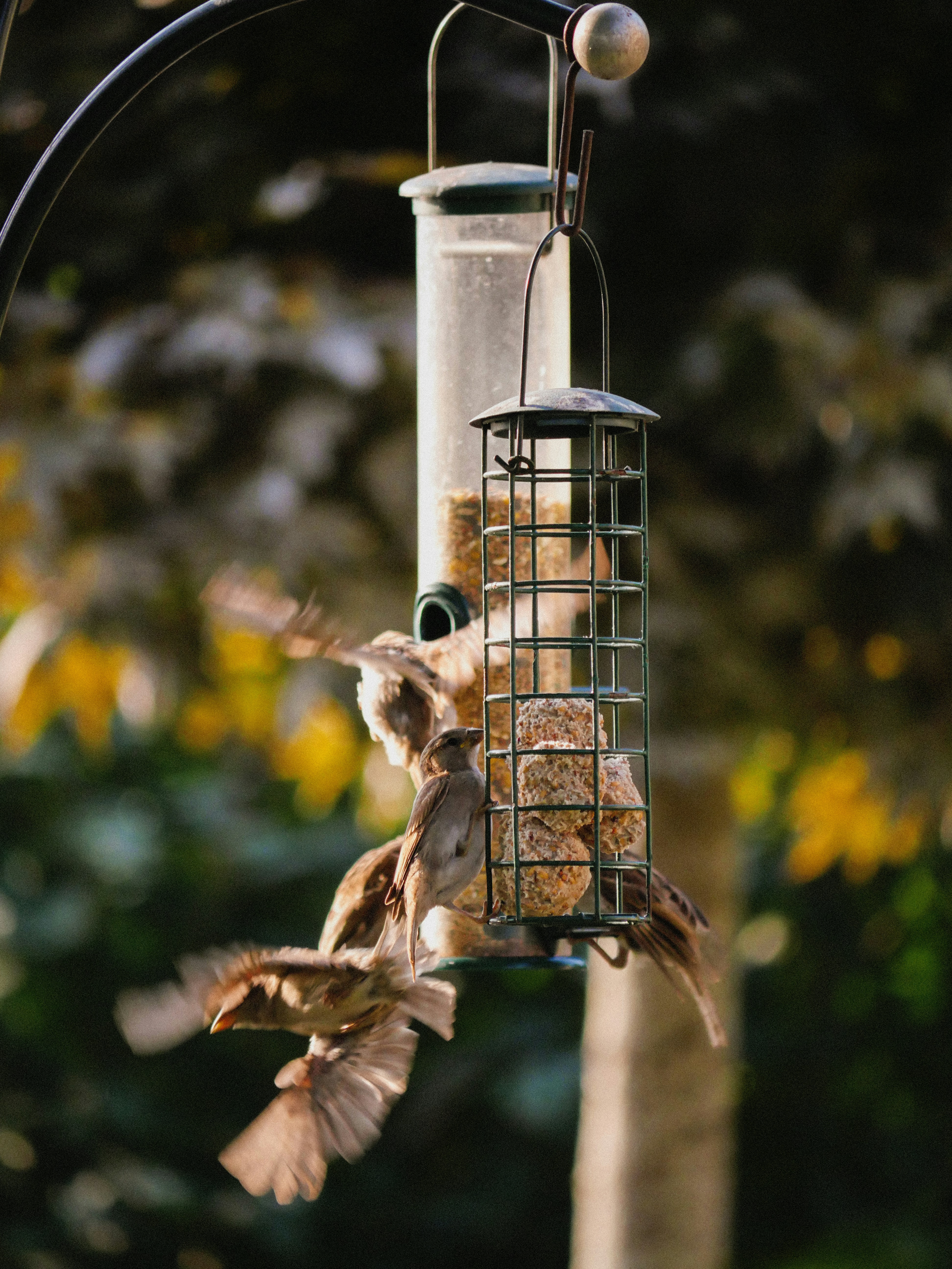 Photo by juttaelisabeth1