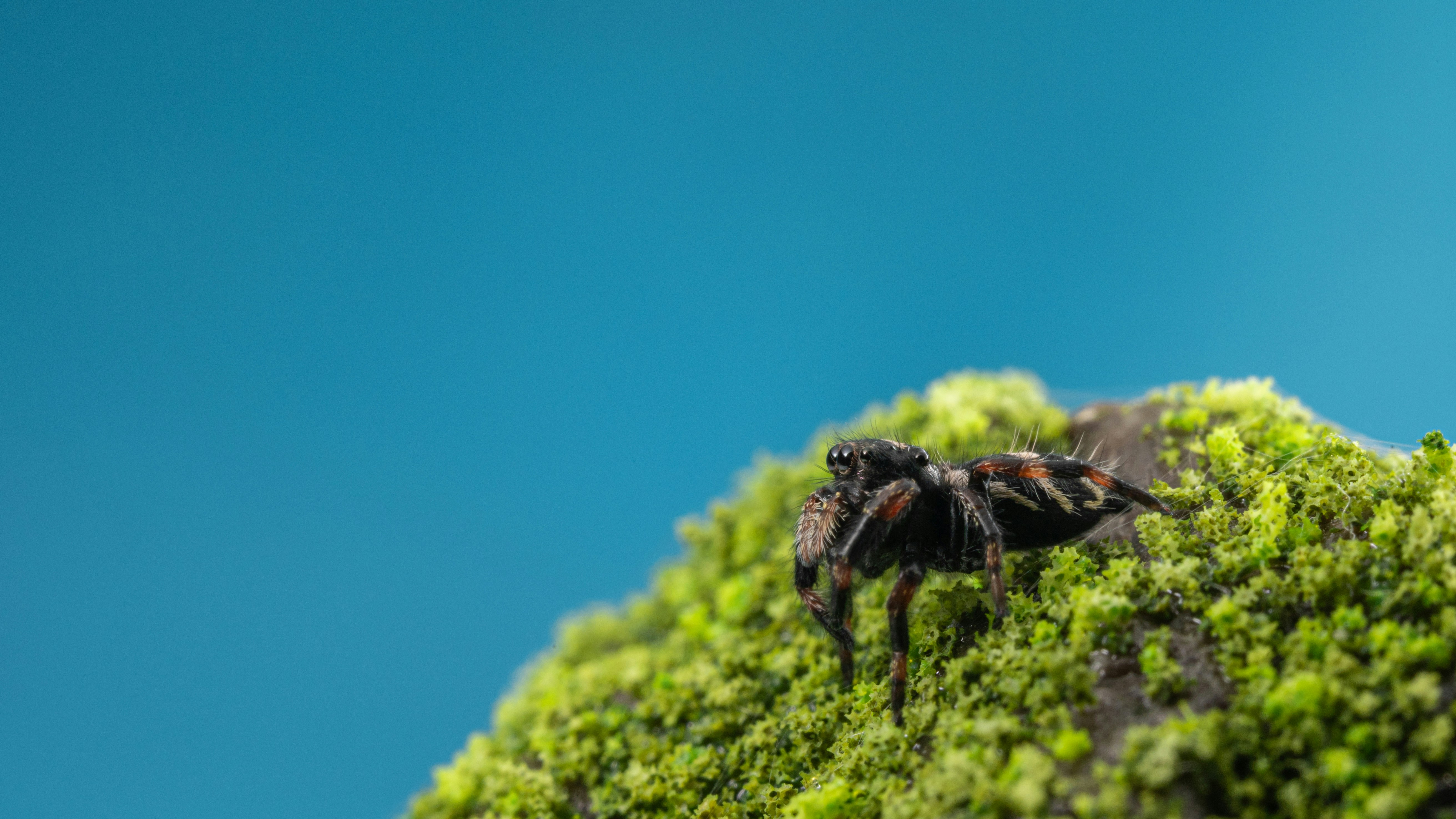 Photo by peek_a_boo_who