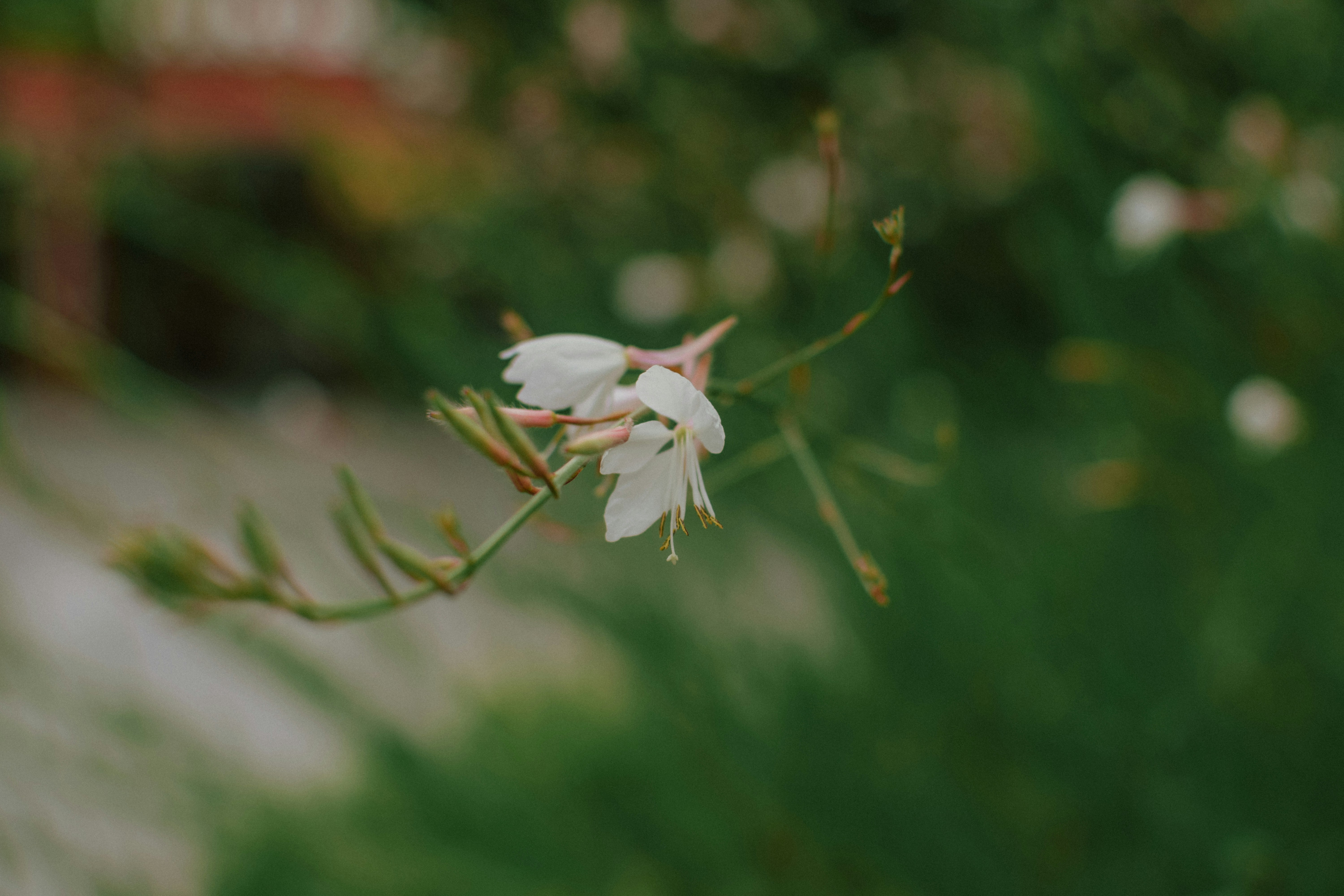 Photo by mohnishlandge