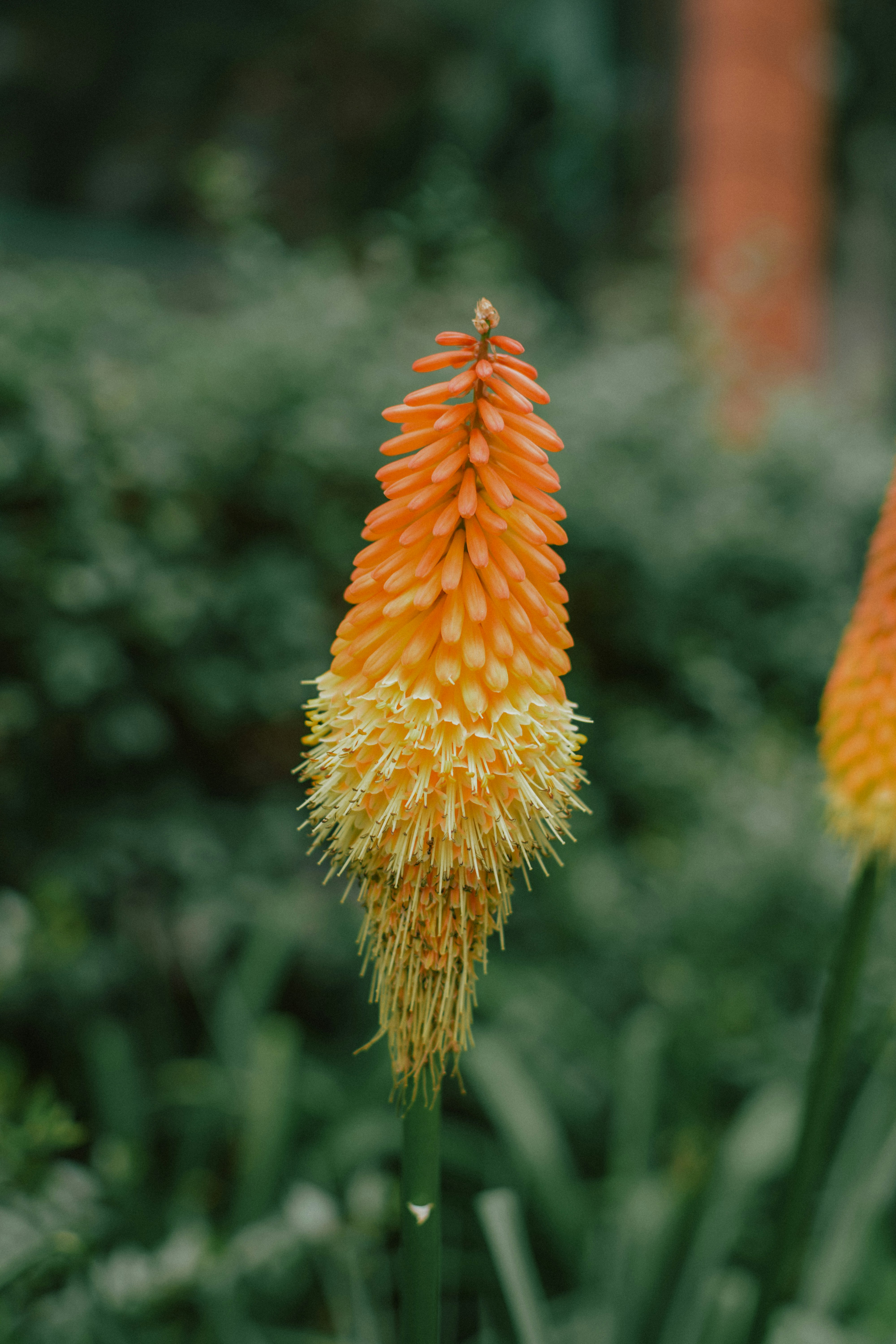 Photo by mohnishlandge