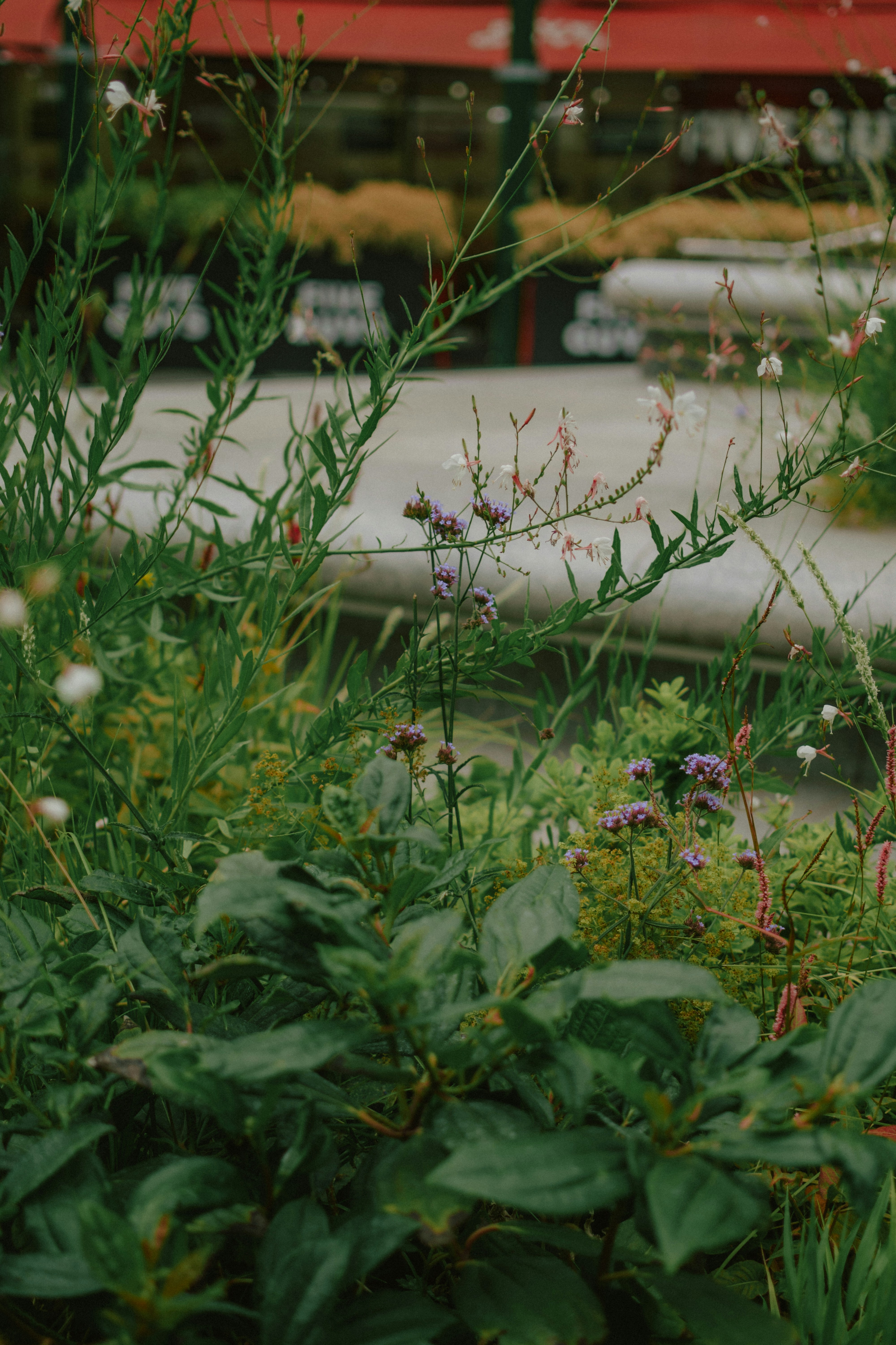 Photo by mohnishlandge