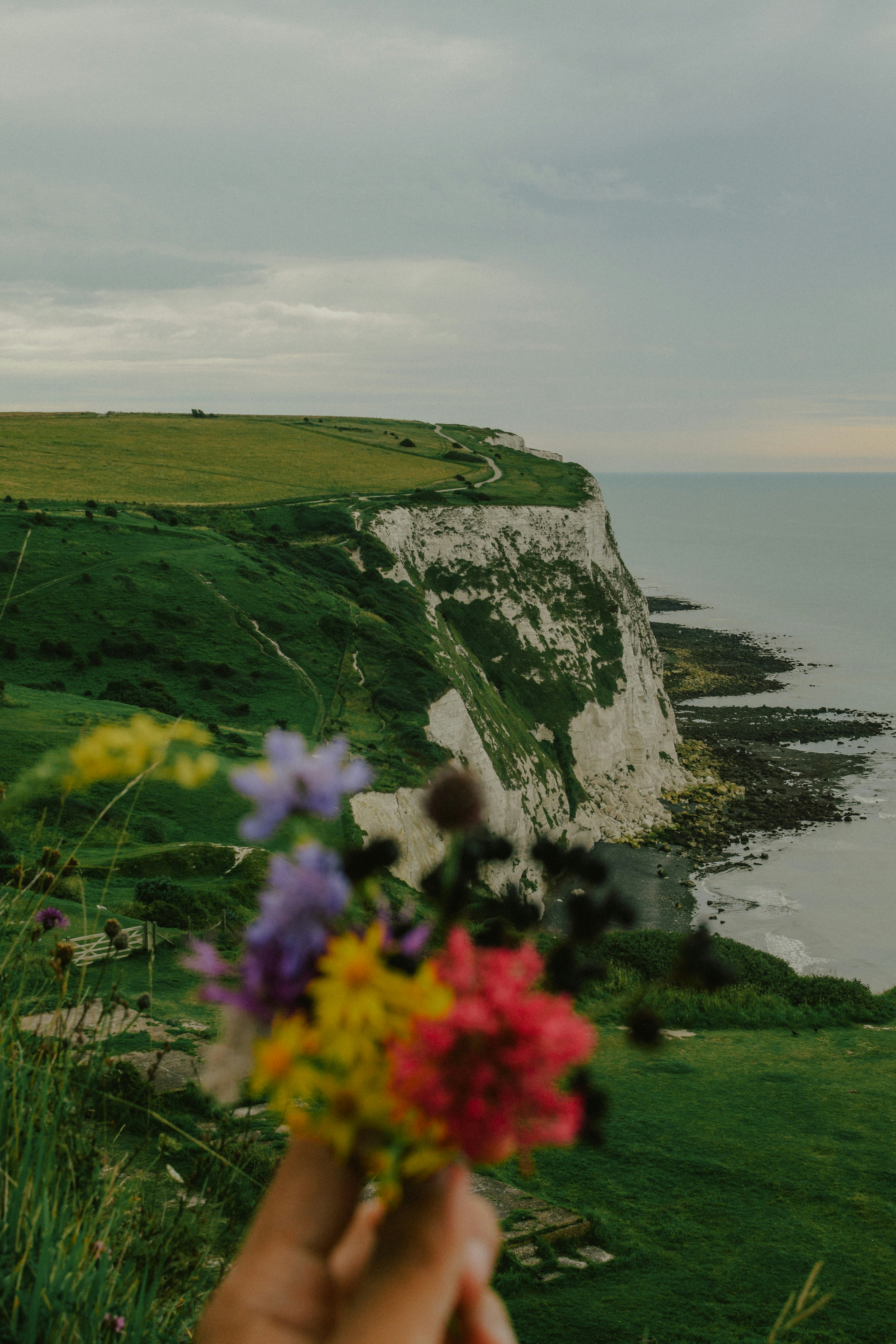 Photo by mohnishlandge