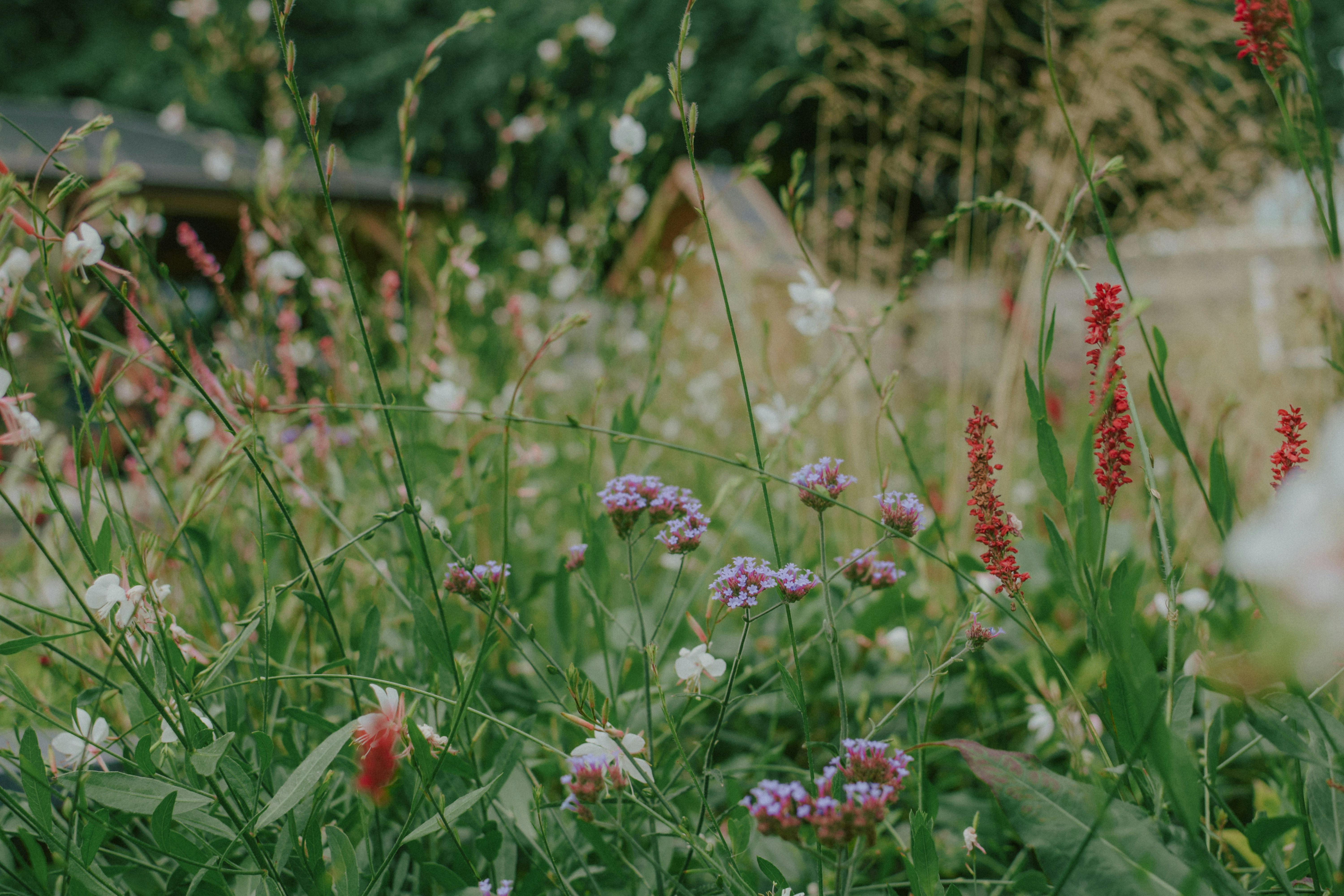 Photo by mohnishlandge