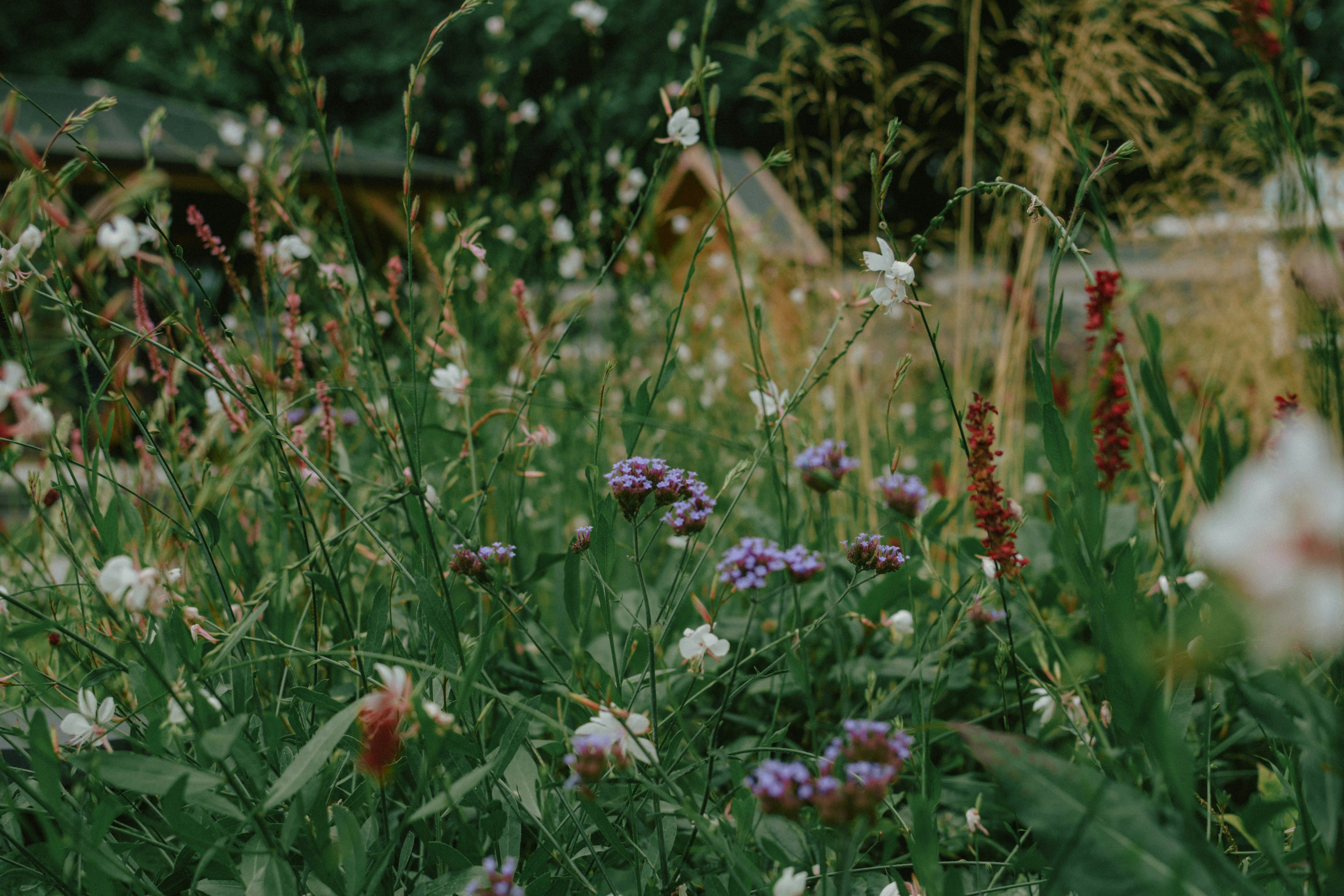 Photo by mohnishlandge