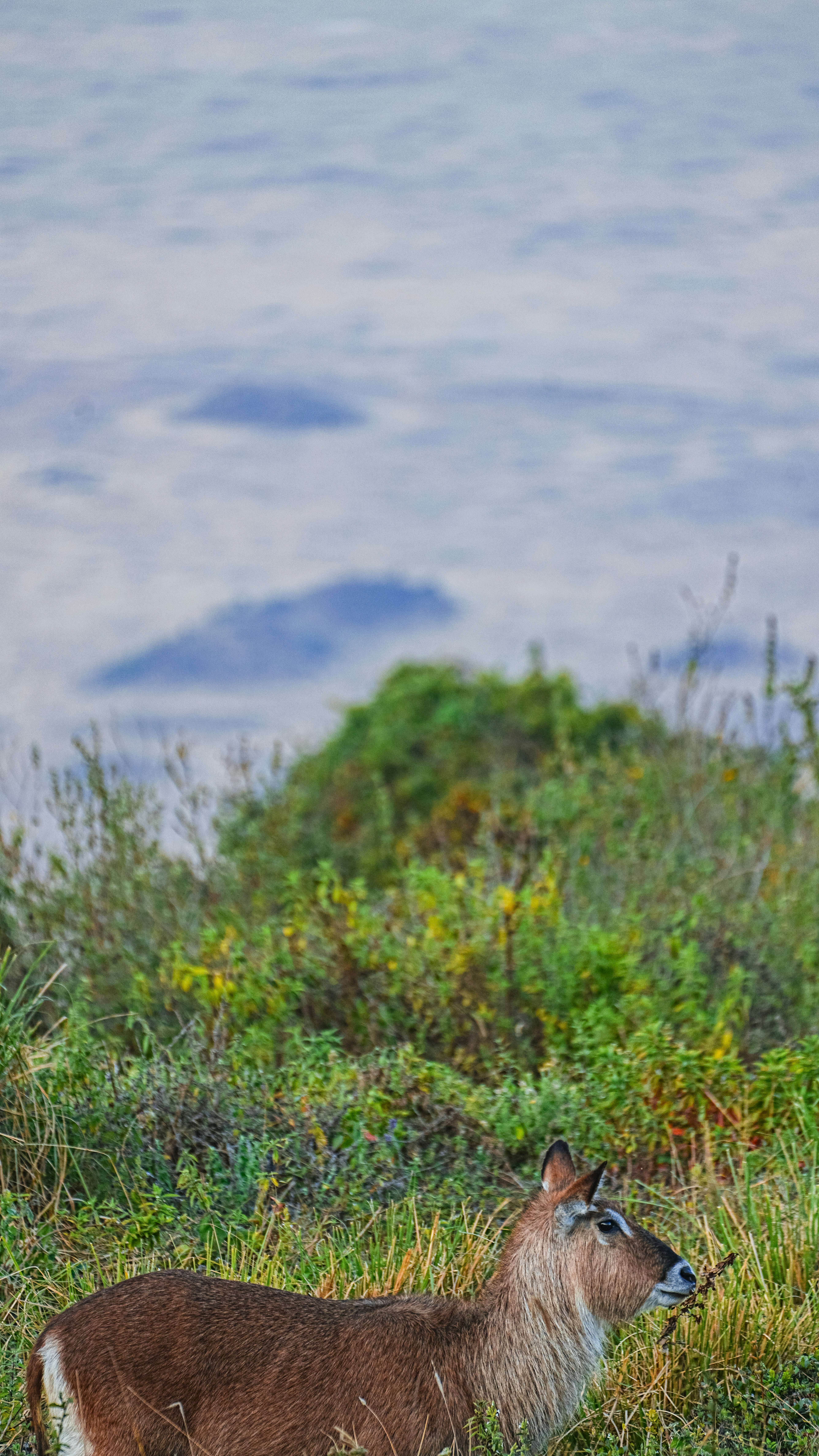 Photo by alexningphotography