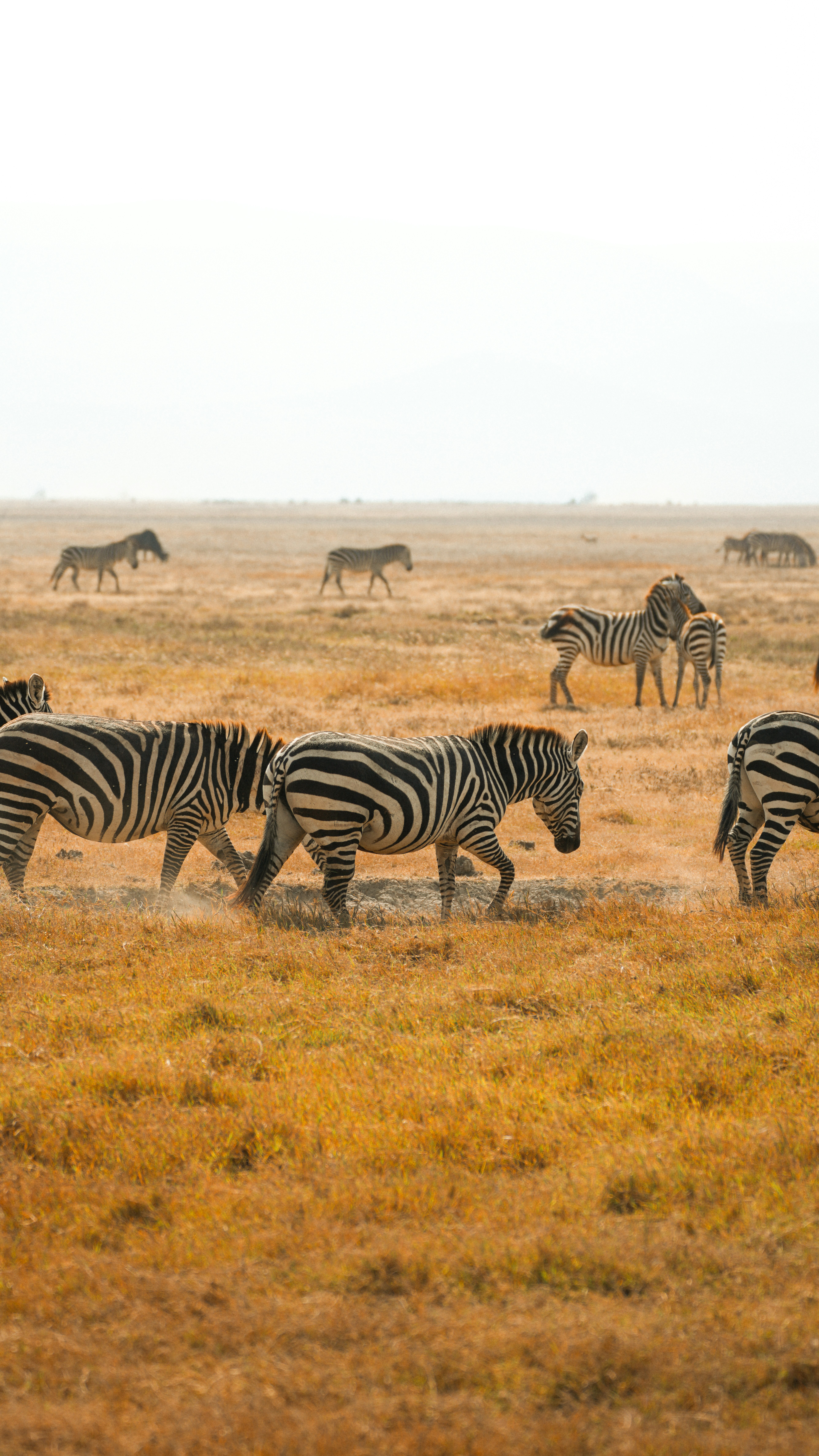 Photo by alexningphotography