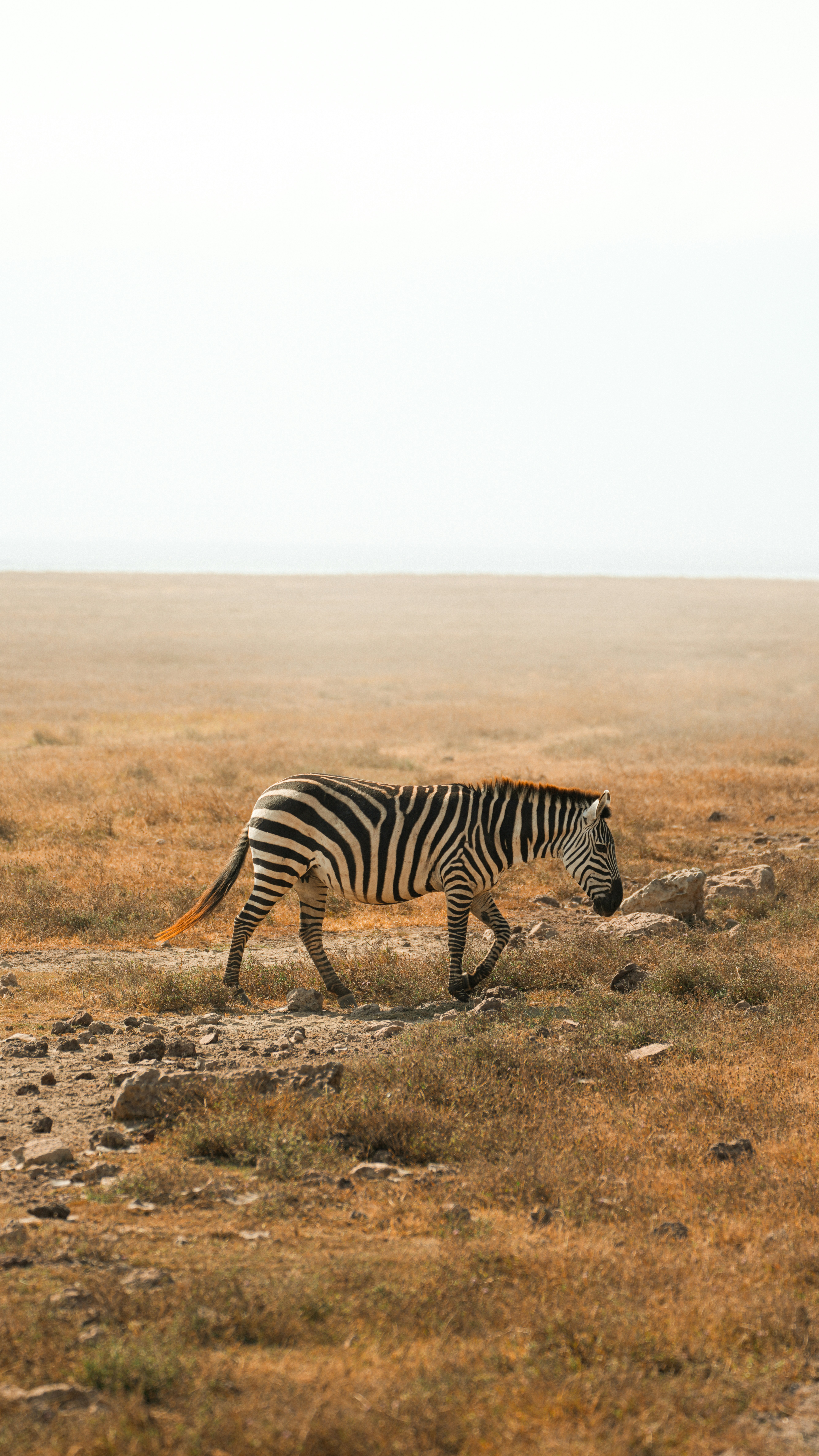 Photo by alexningphotography