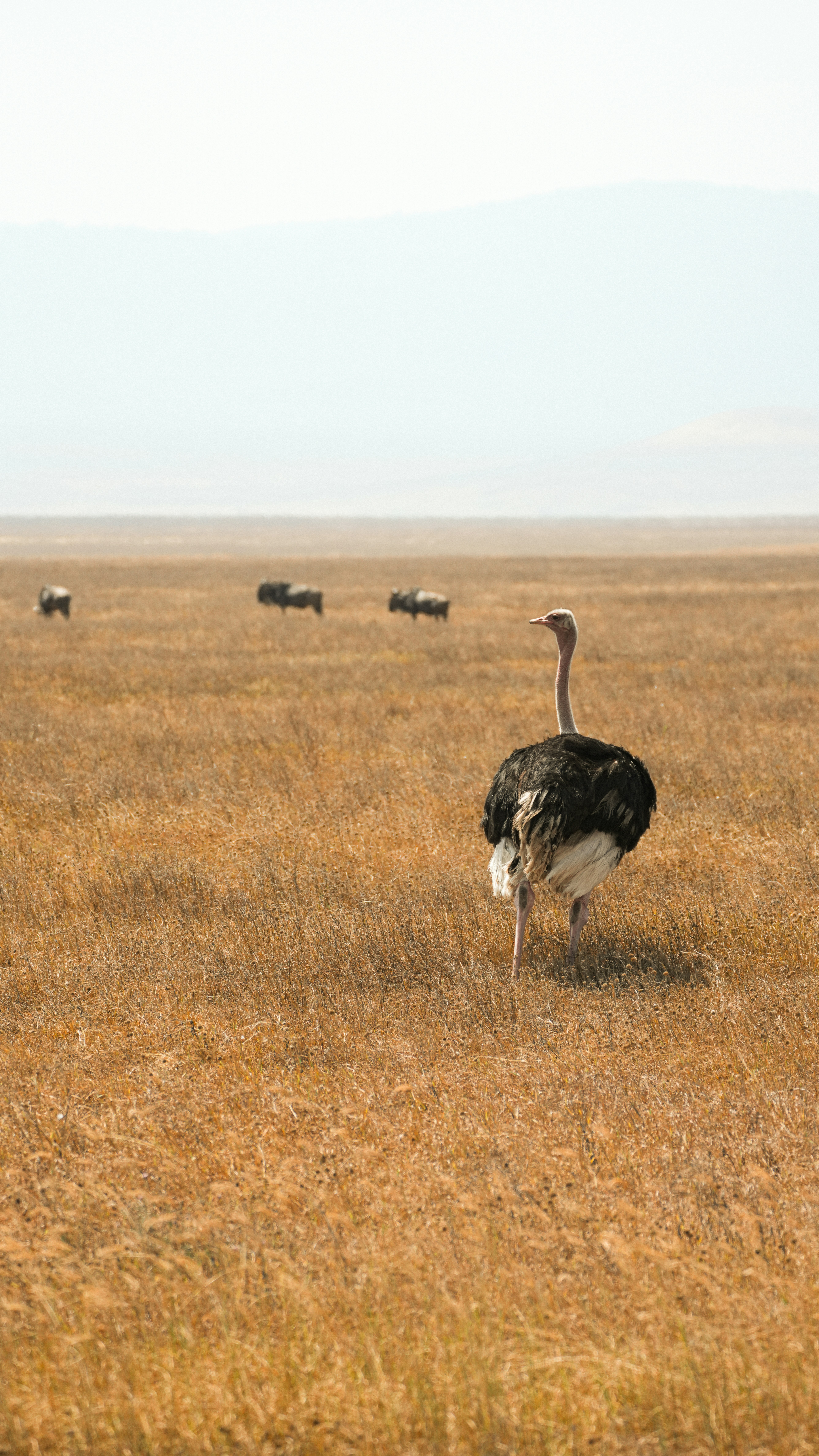 Photo by alexningphotography