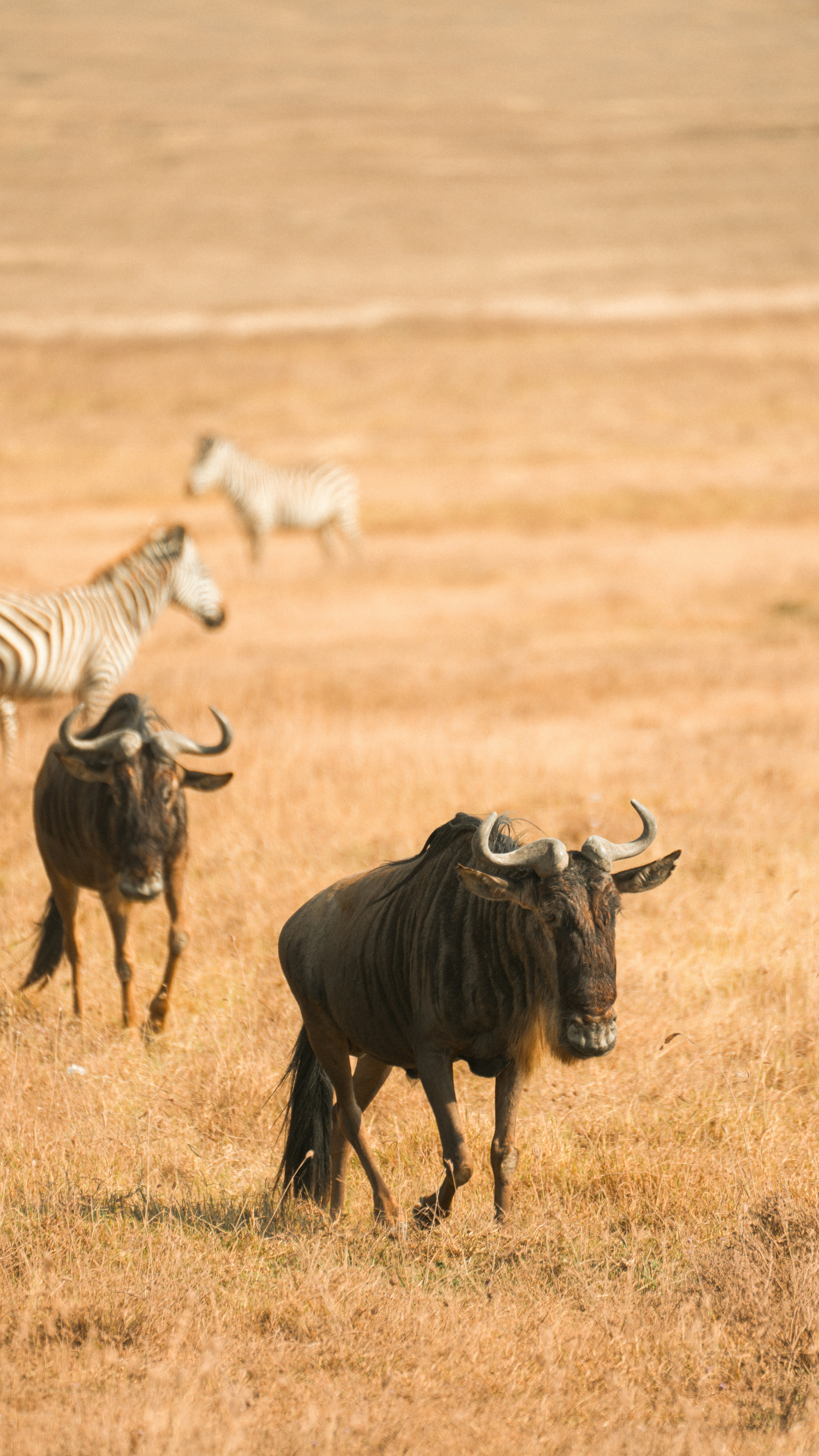 Photo by alexningphotography