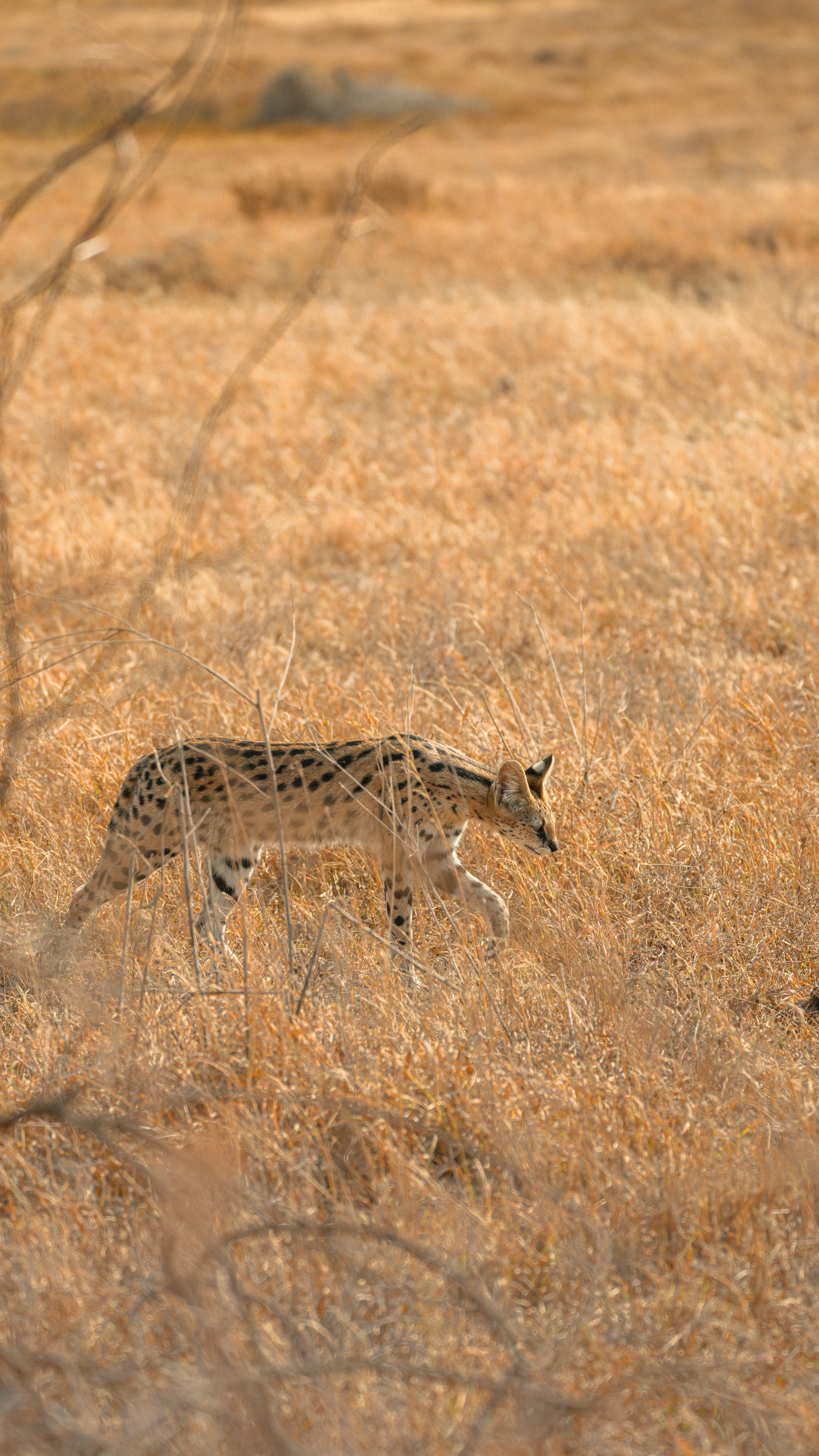 Photo by alexningphotography