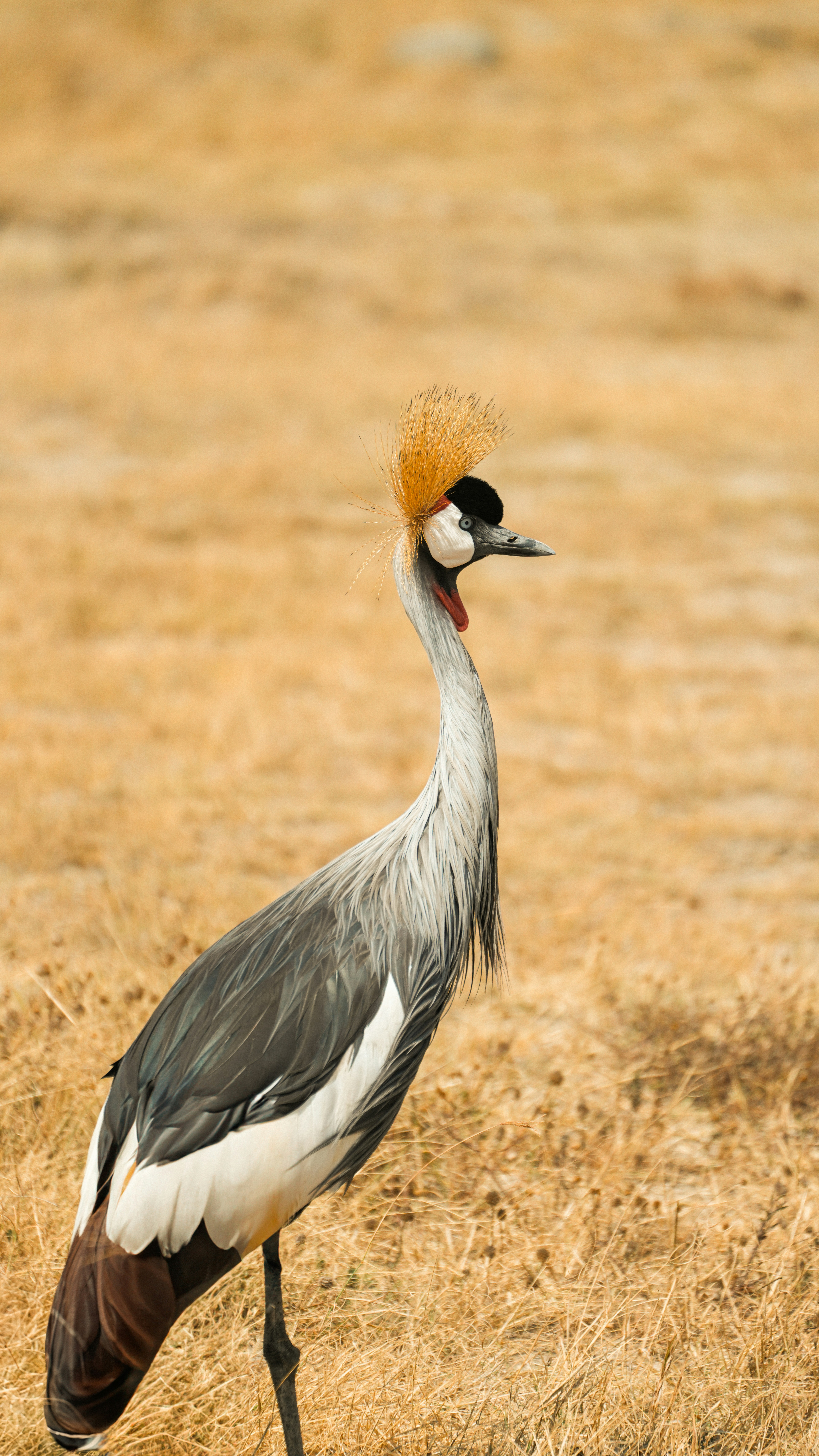 Photo by alexningphotography