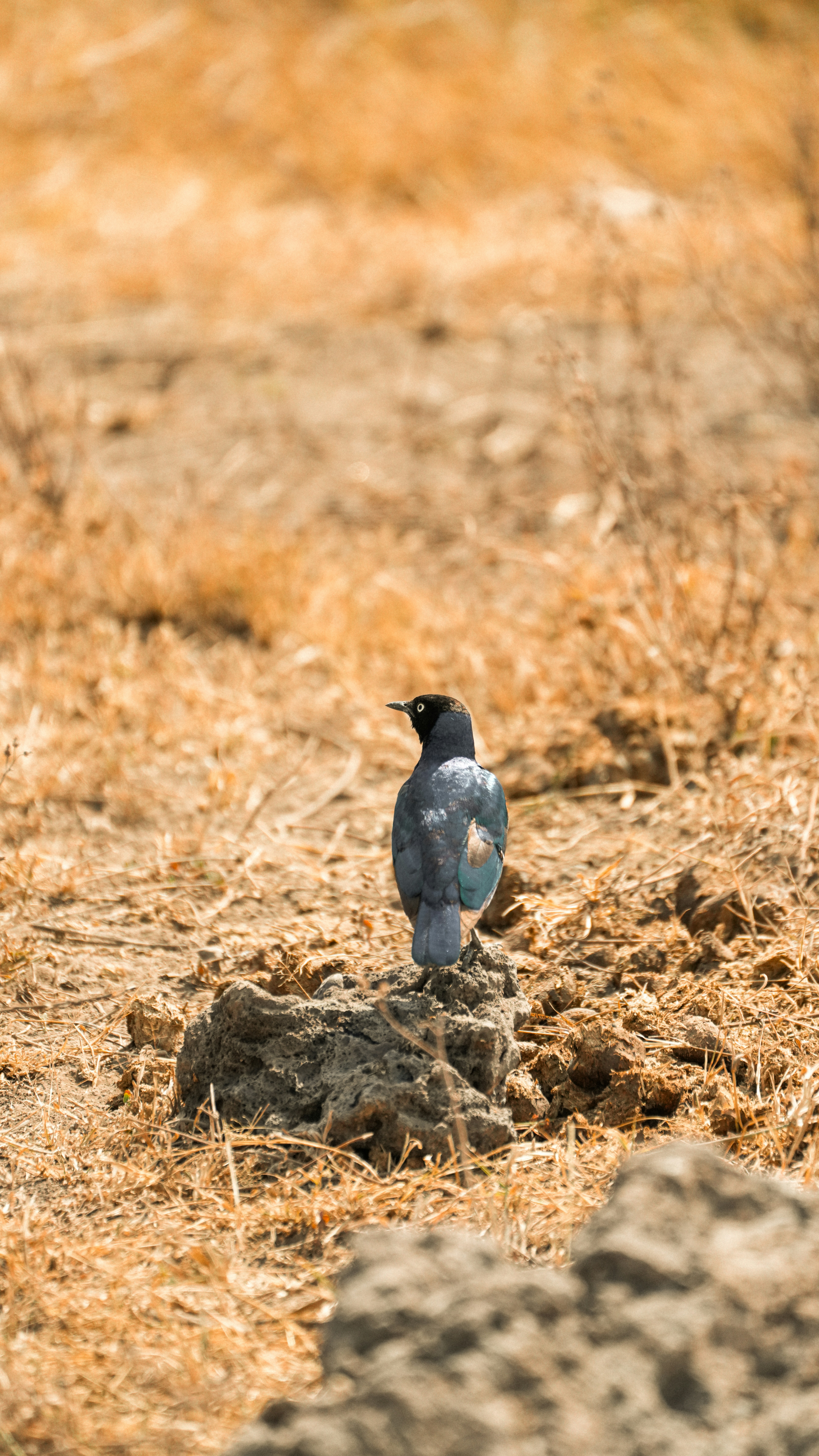 Photo by alexningphotography