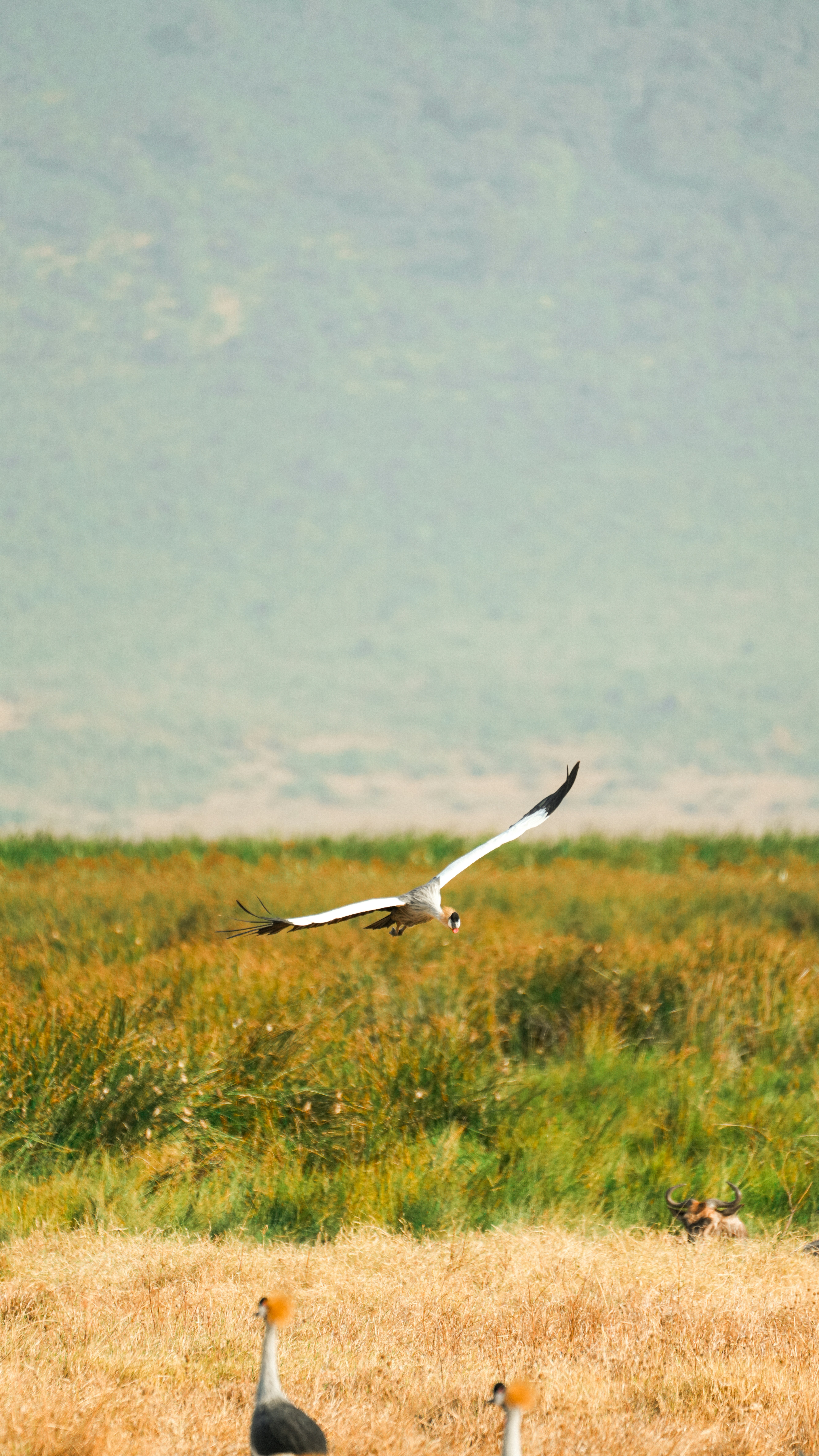 Photo by alexningphotography