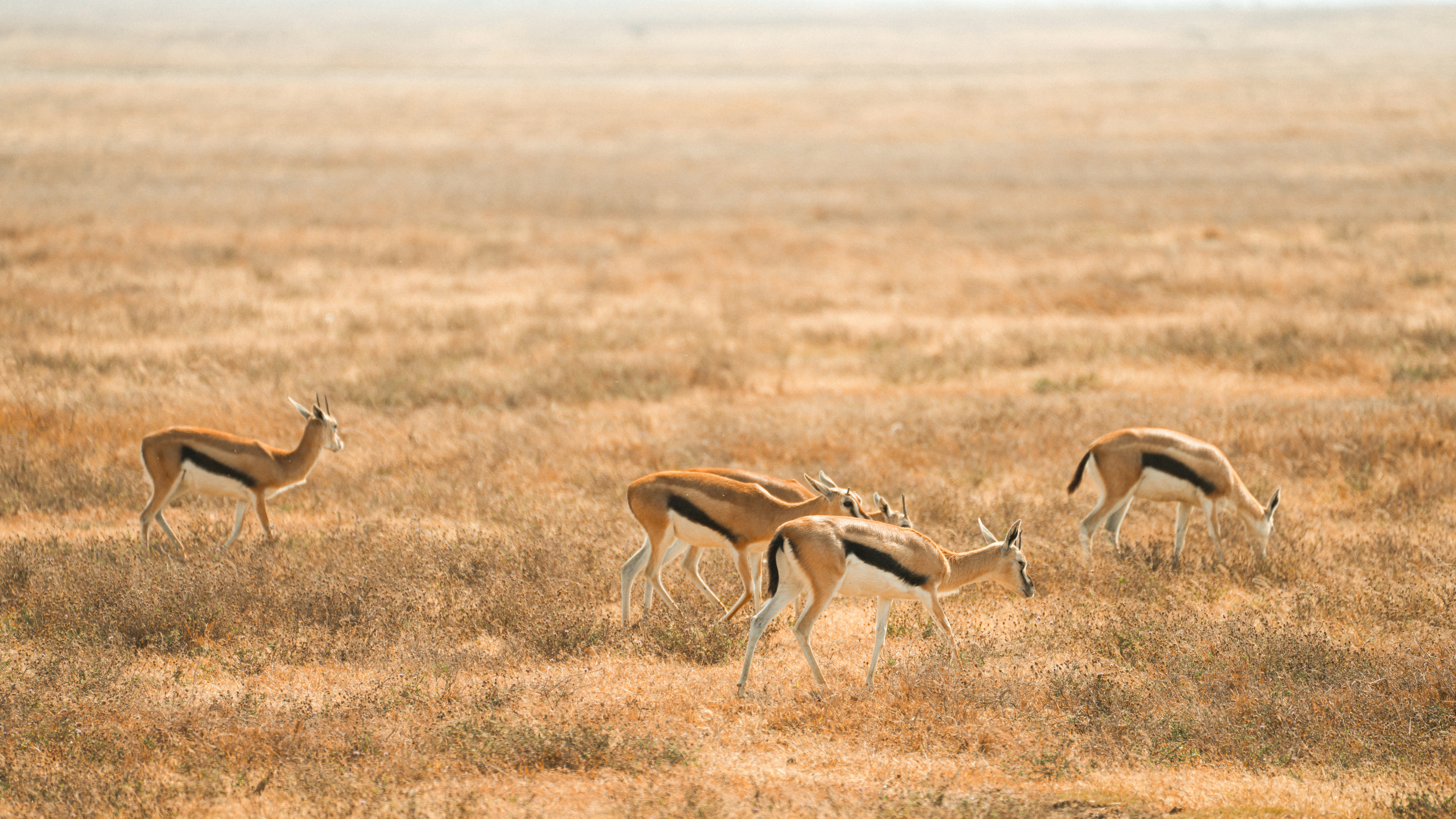 Photo by alexningphotography