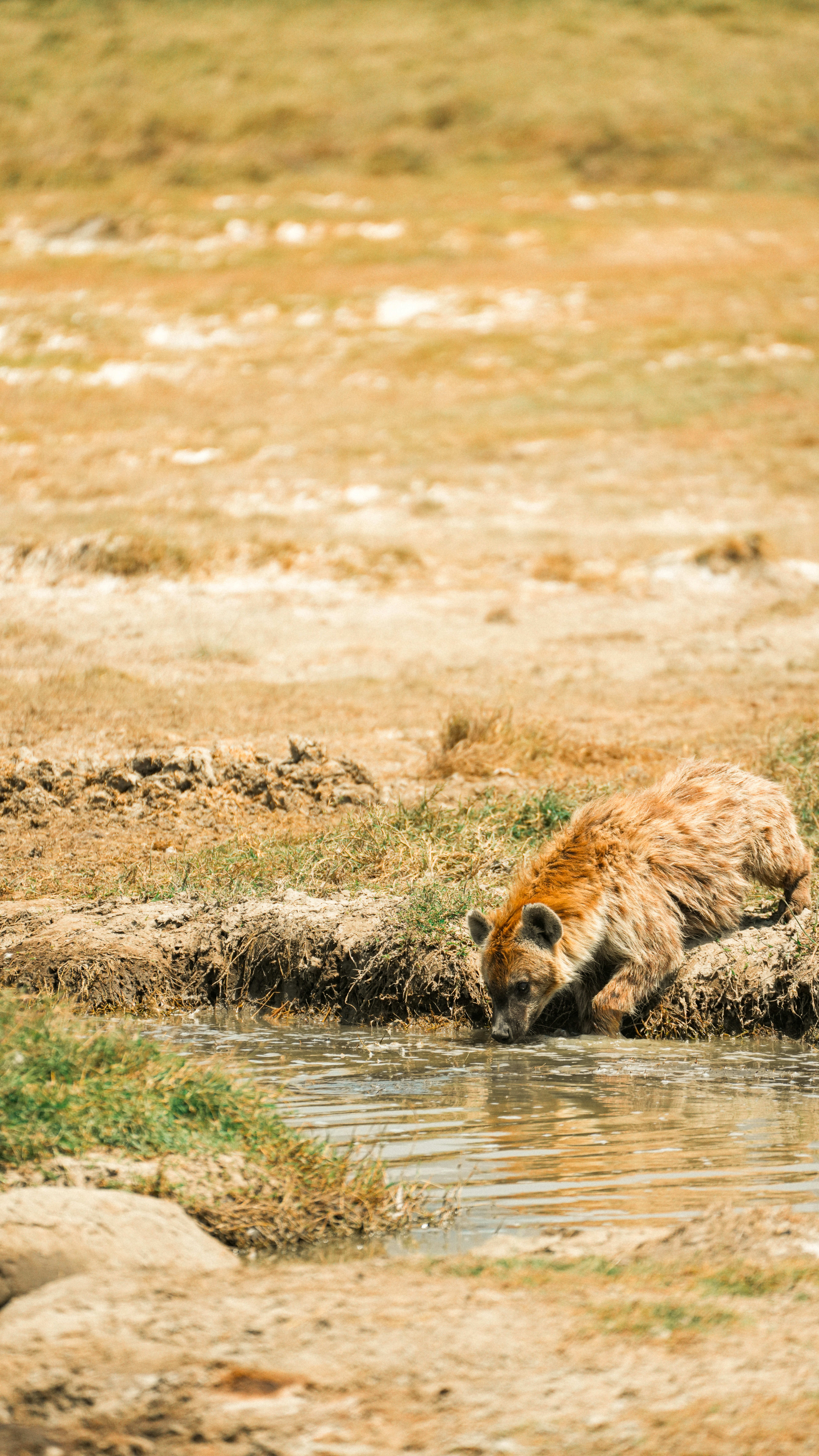 Photo by alexningphotography