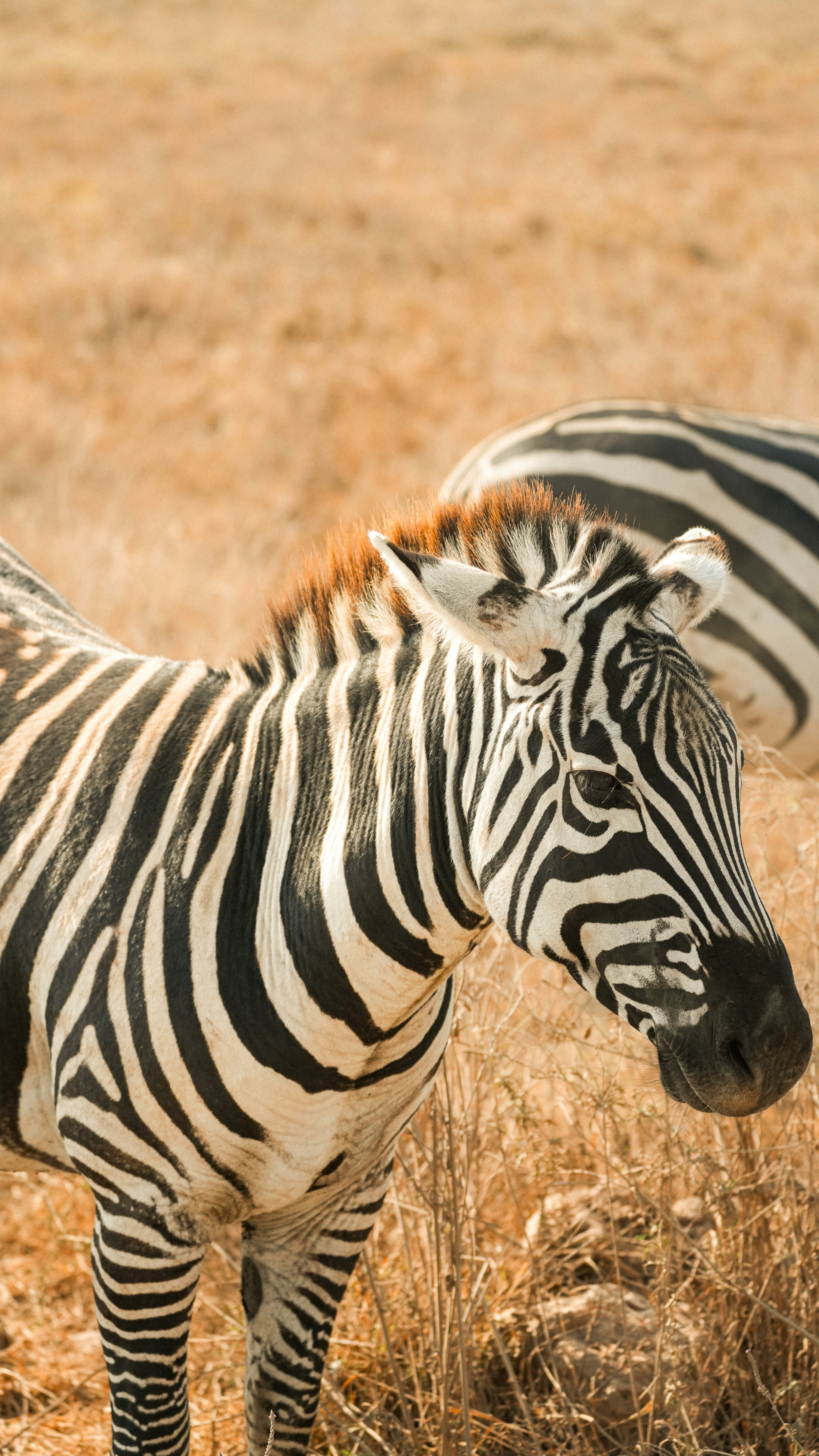 Photo by alexningphotography