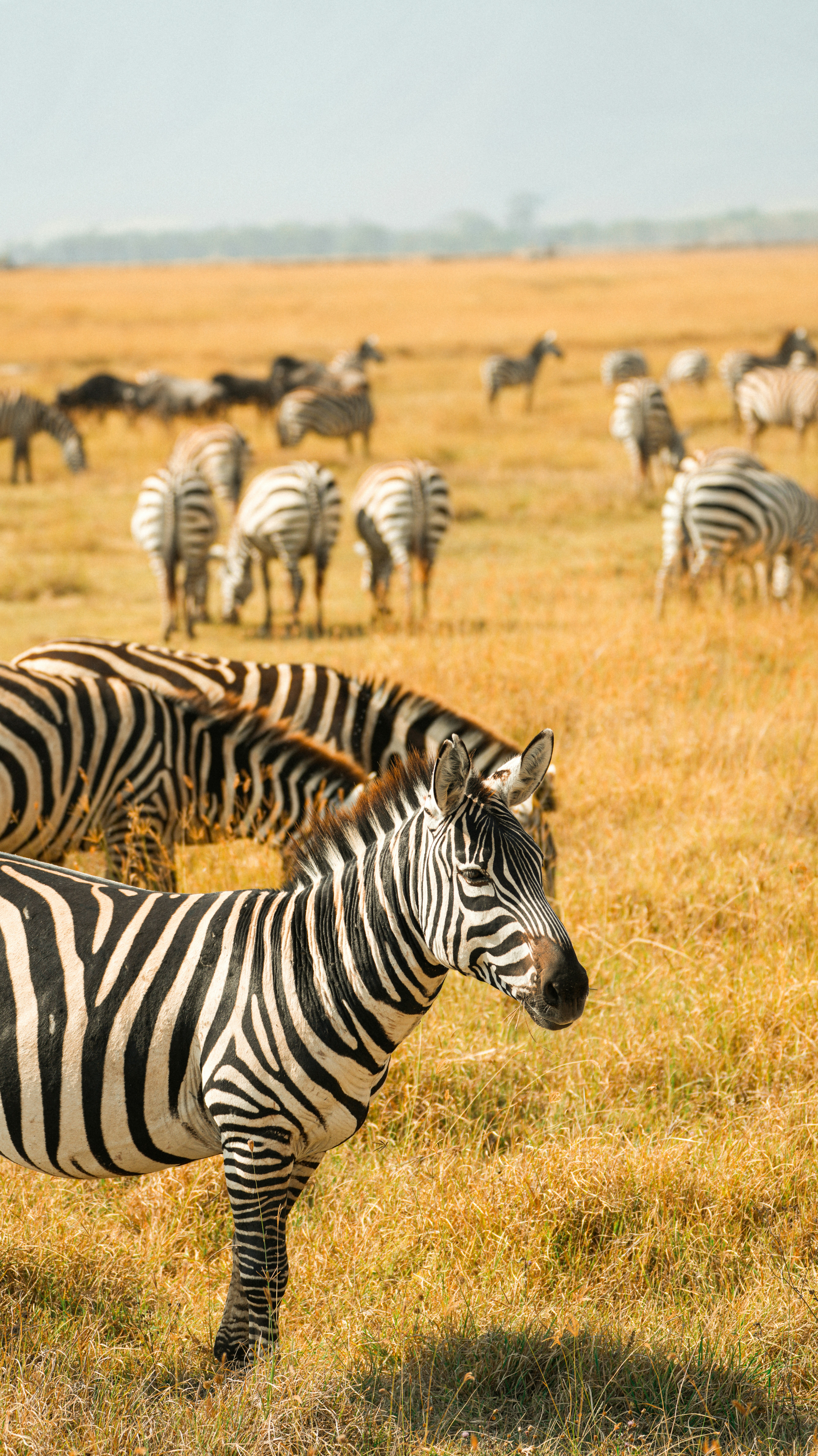 Photo by alexningphotography