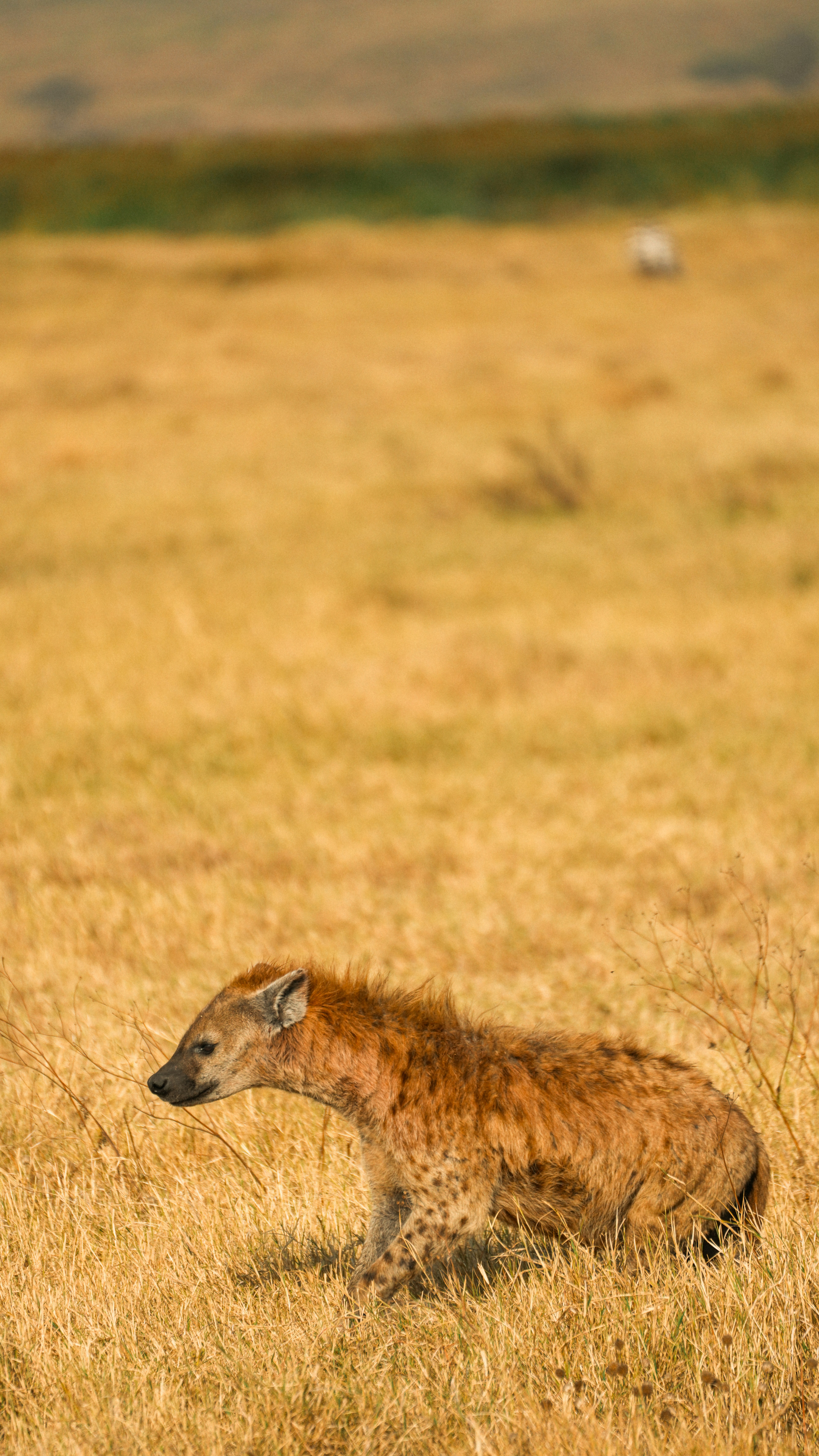 Photo by alexningphotography