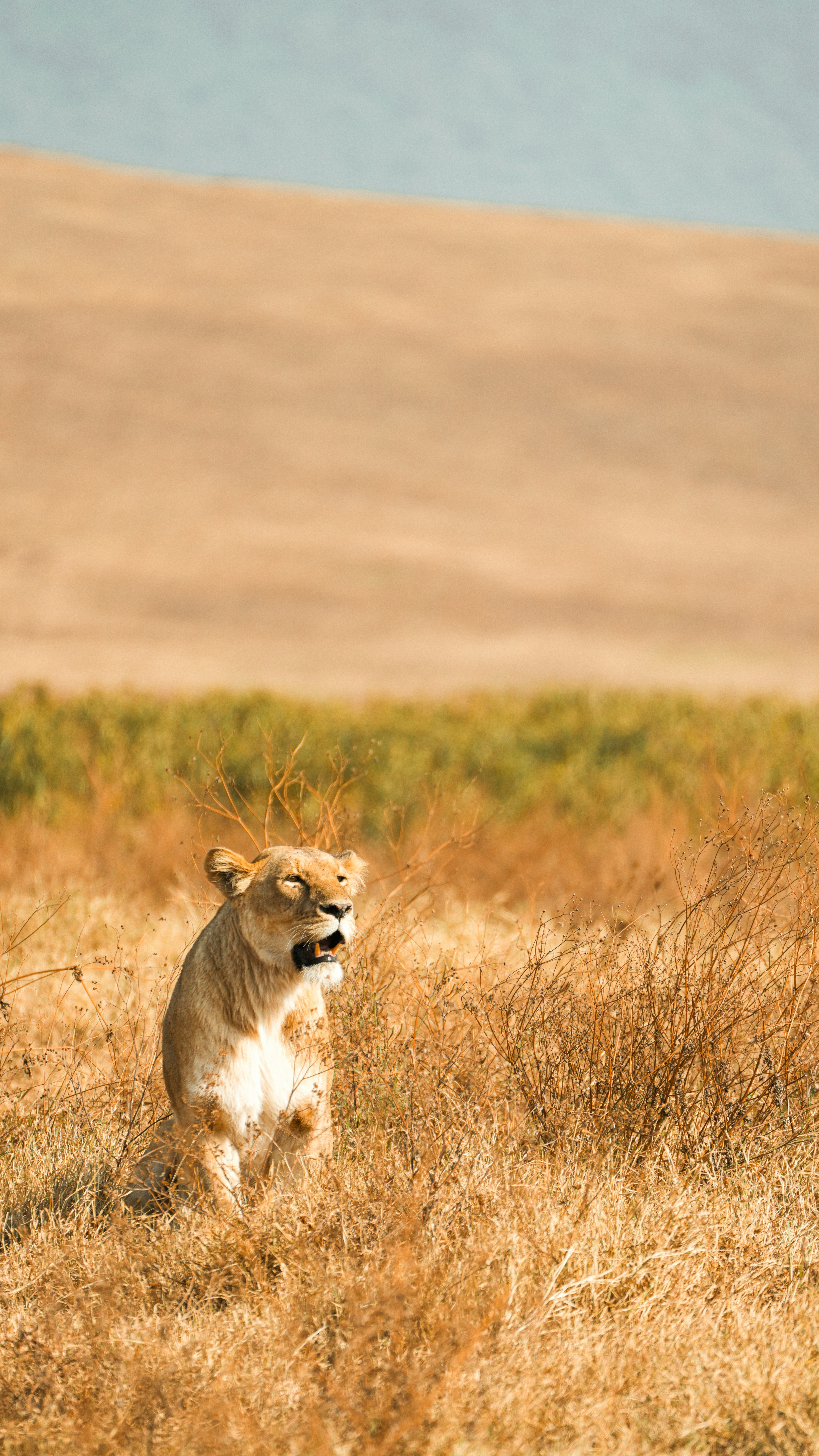 Photo by alexningphotography