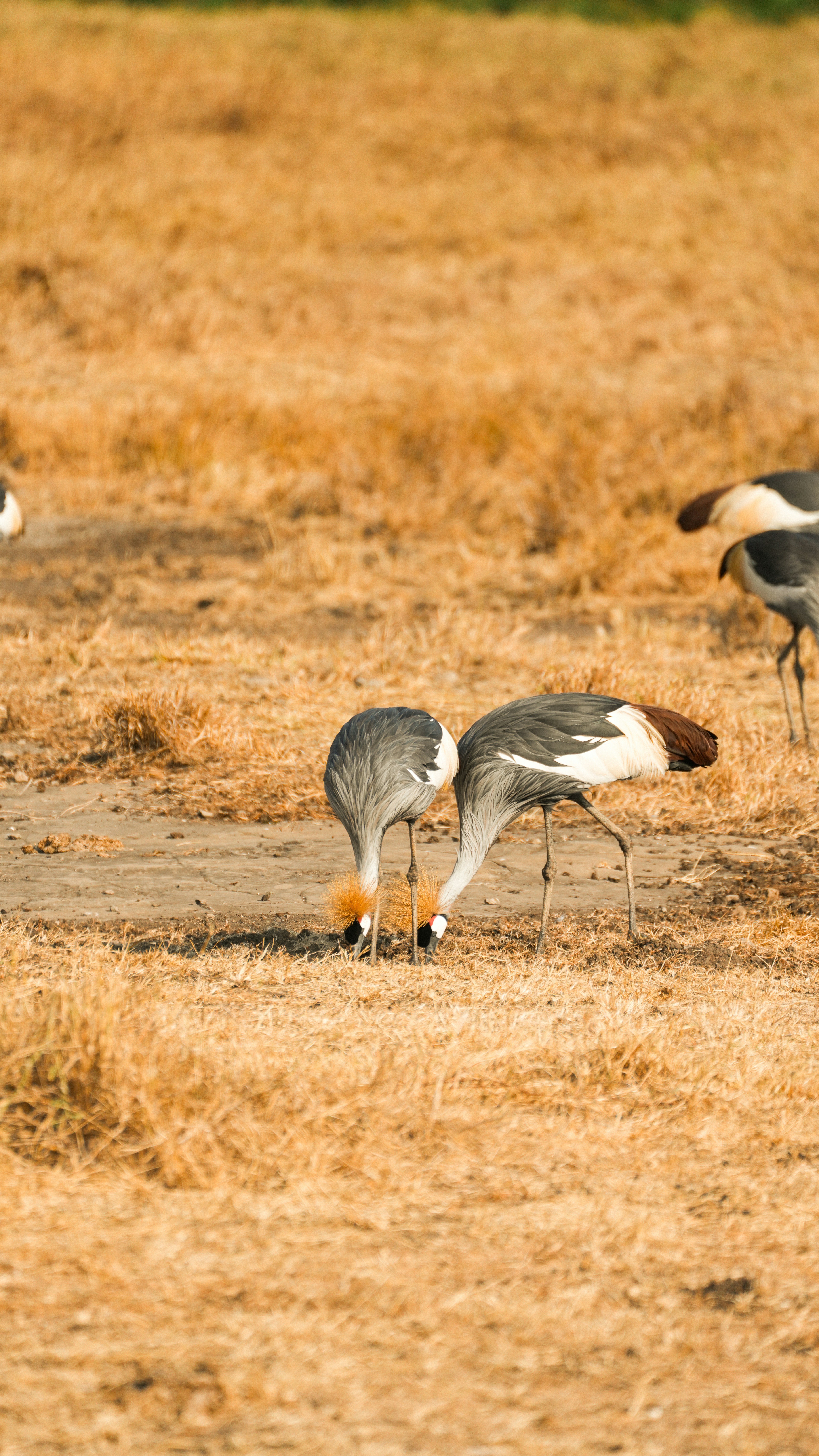 Photo by alexningphotography