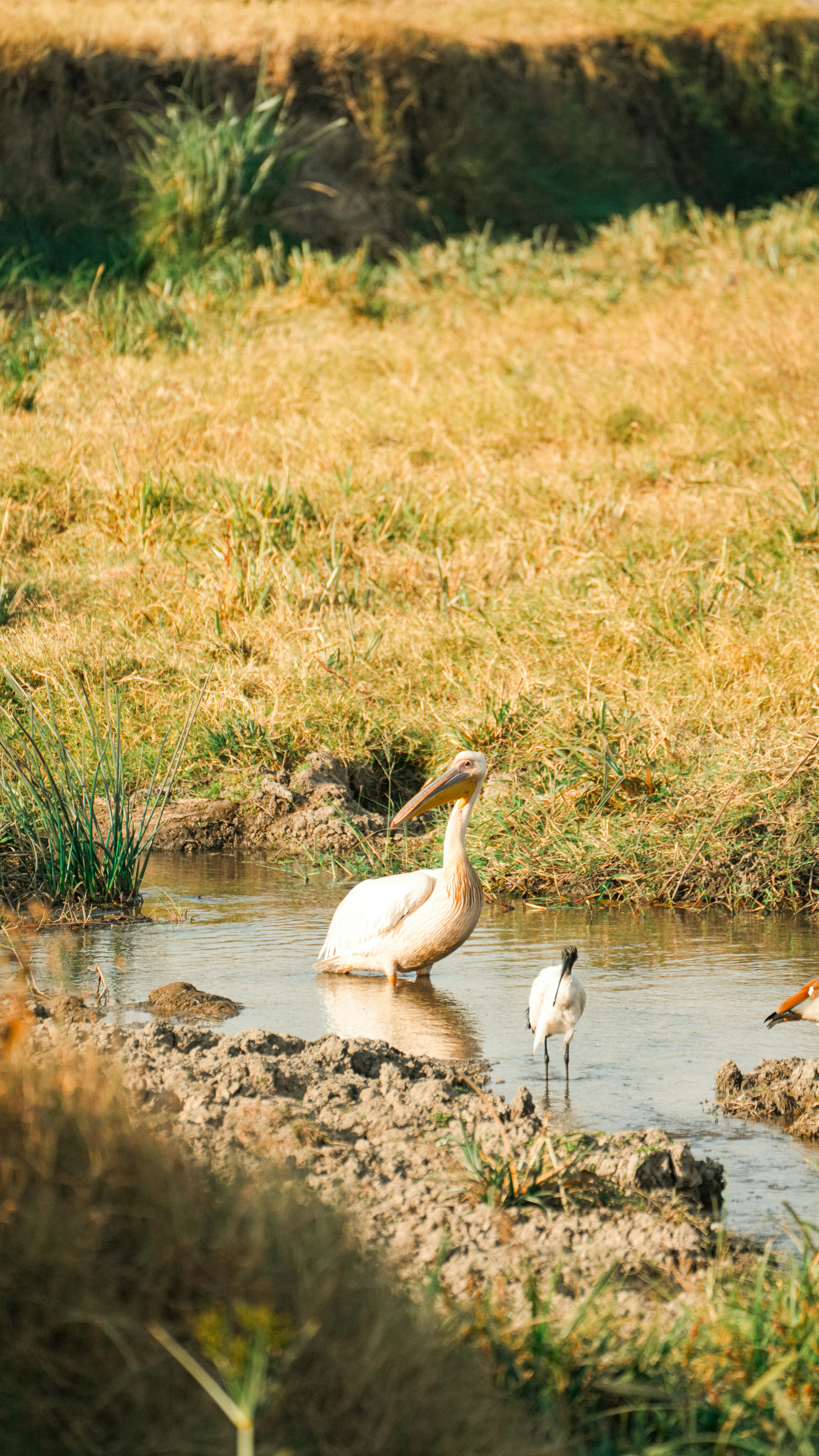 Photo by alexningphotography