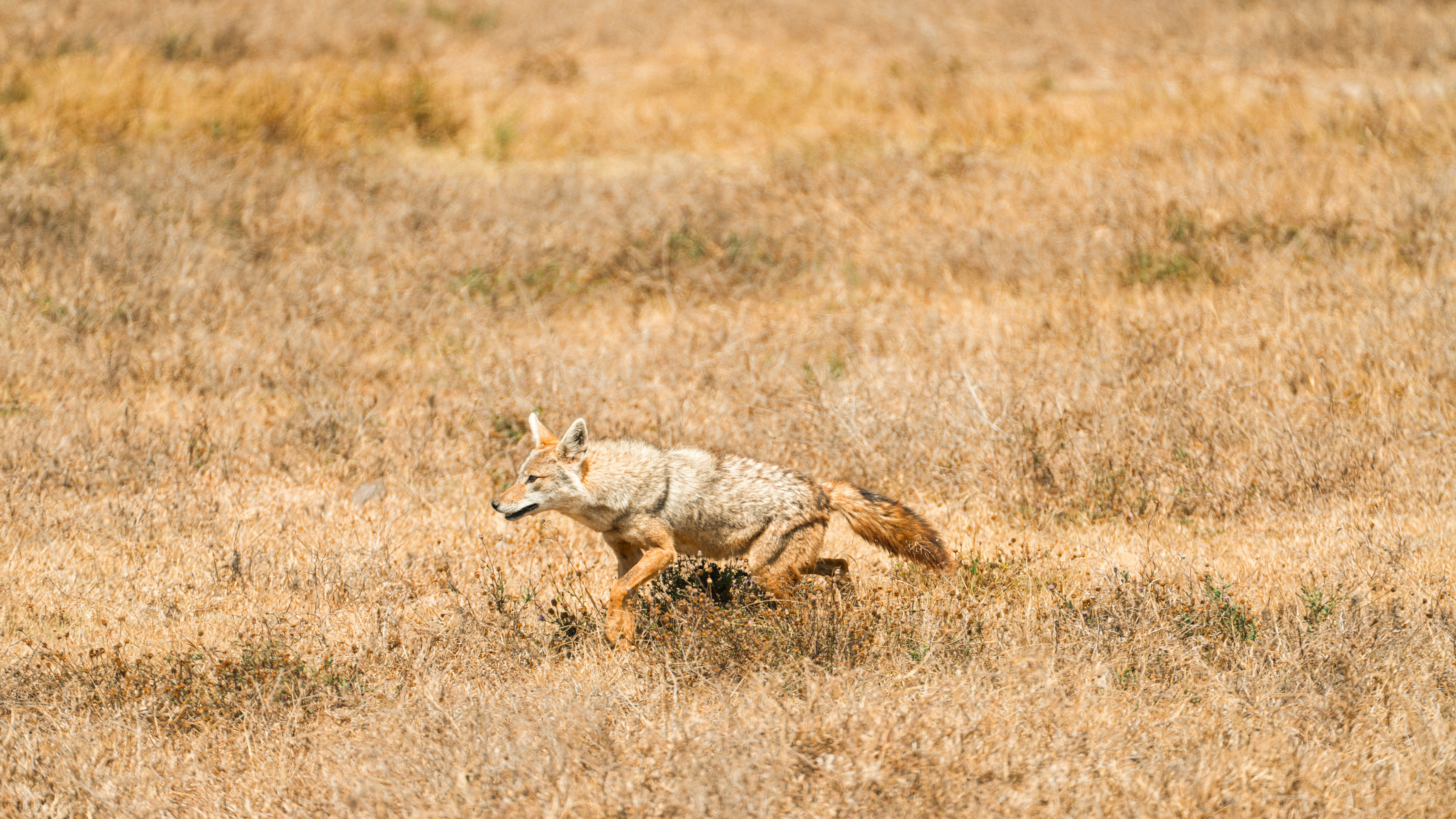 Photo by alexningphotography