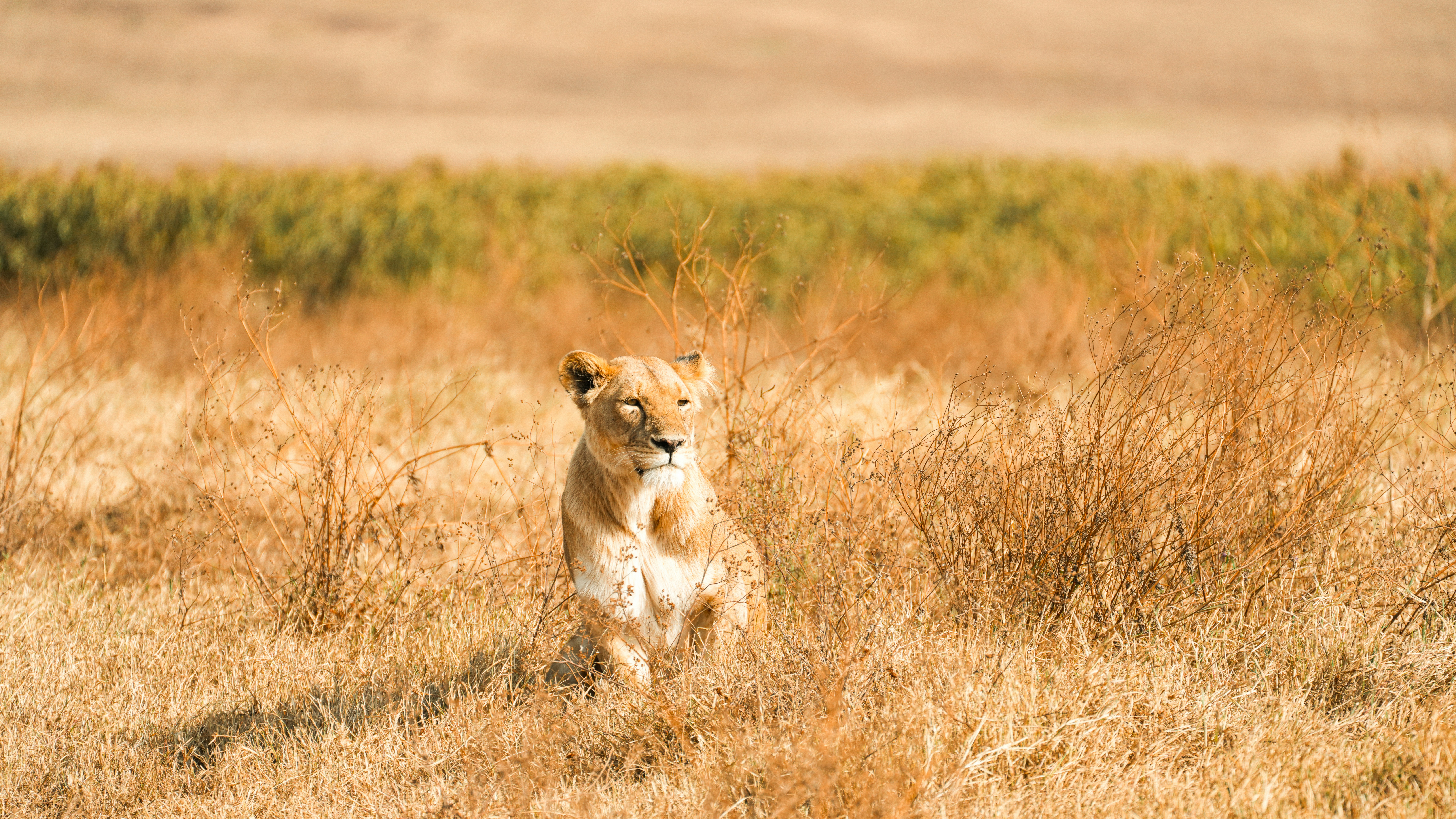 Photo by alexningphotography