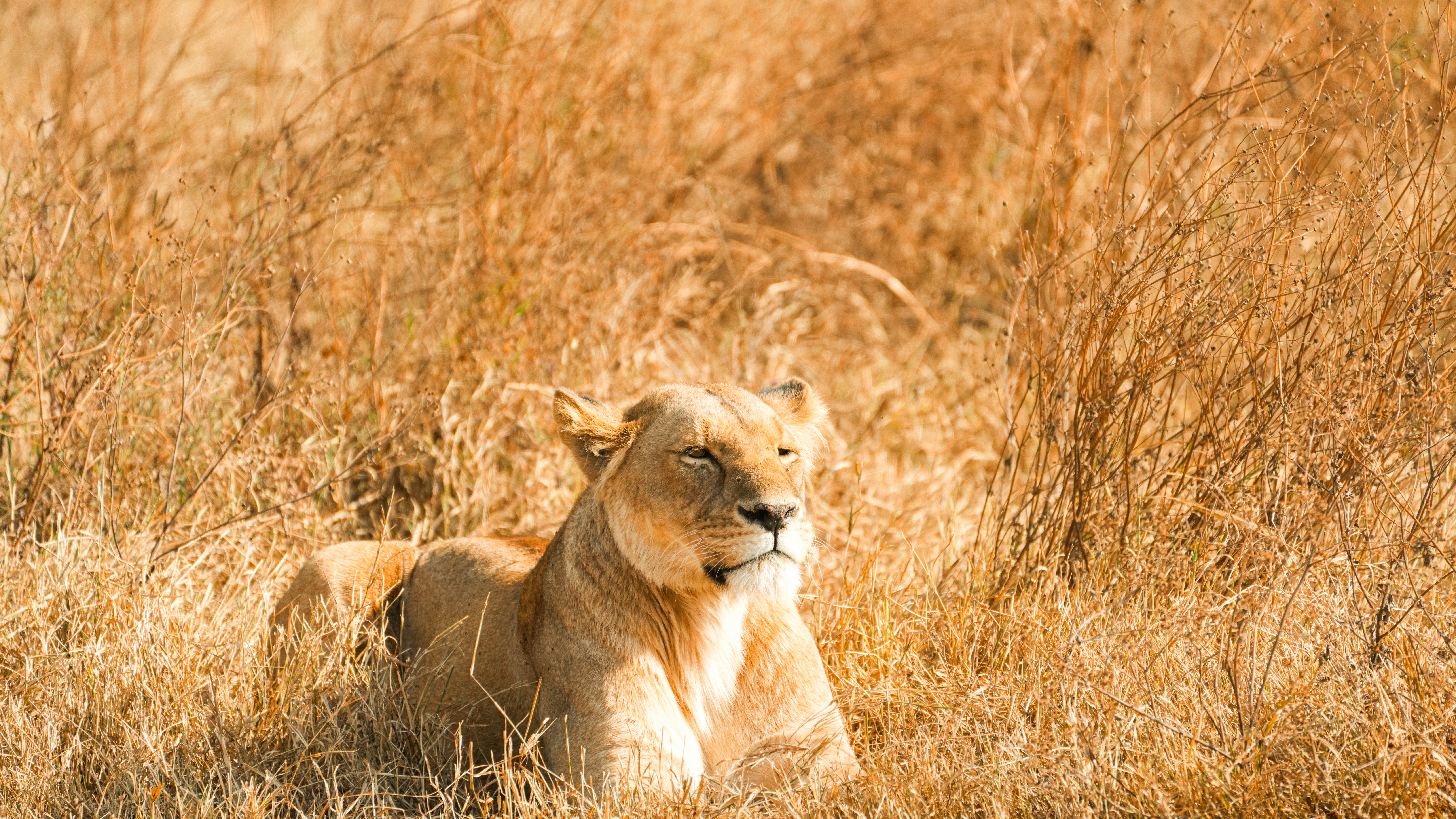 Photo by alexningphotography