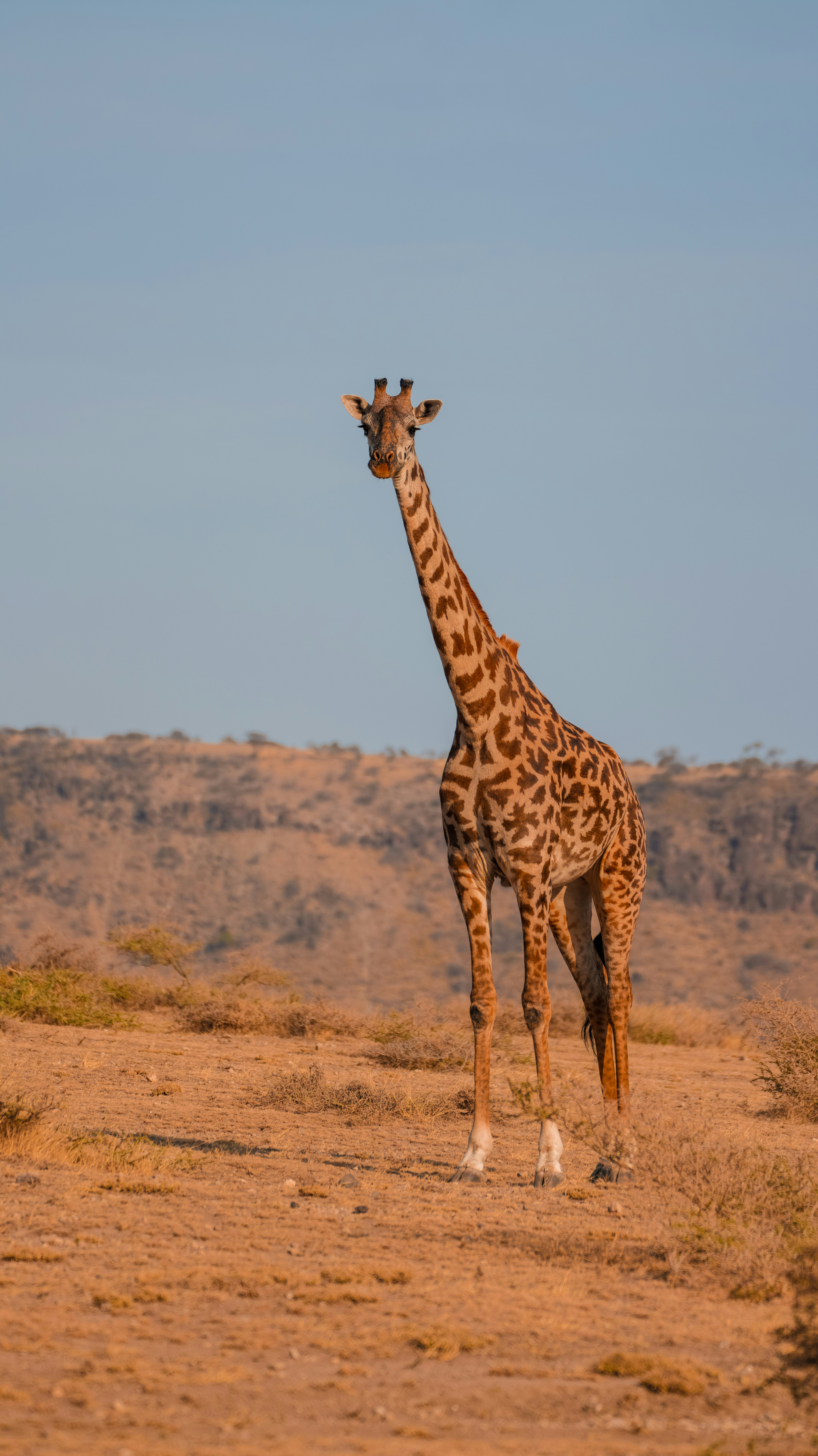 Photo by alexningphotography