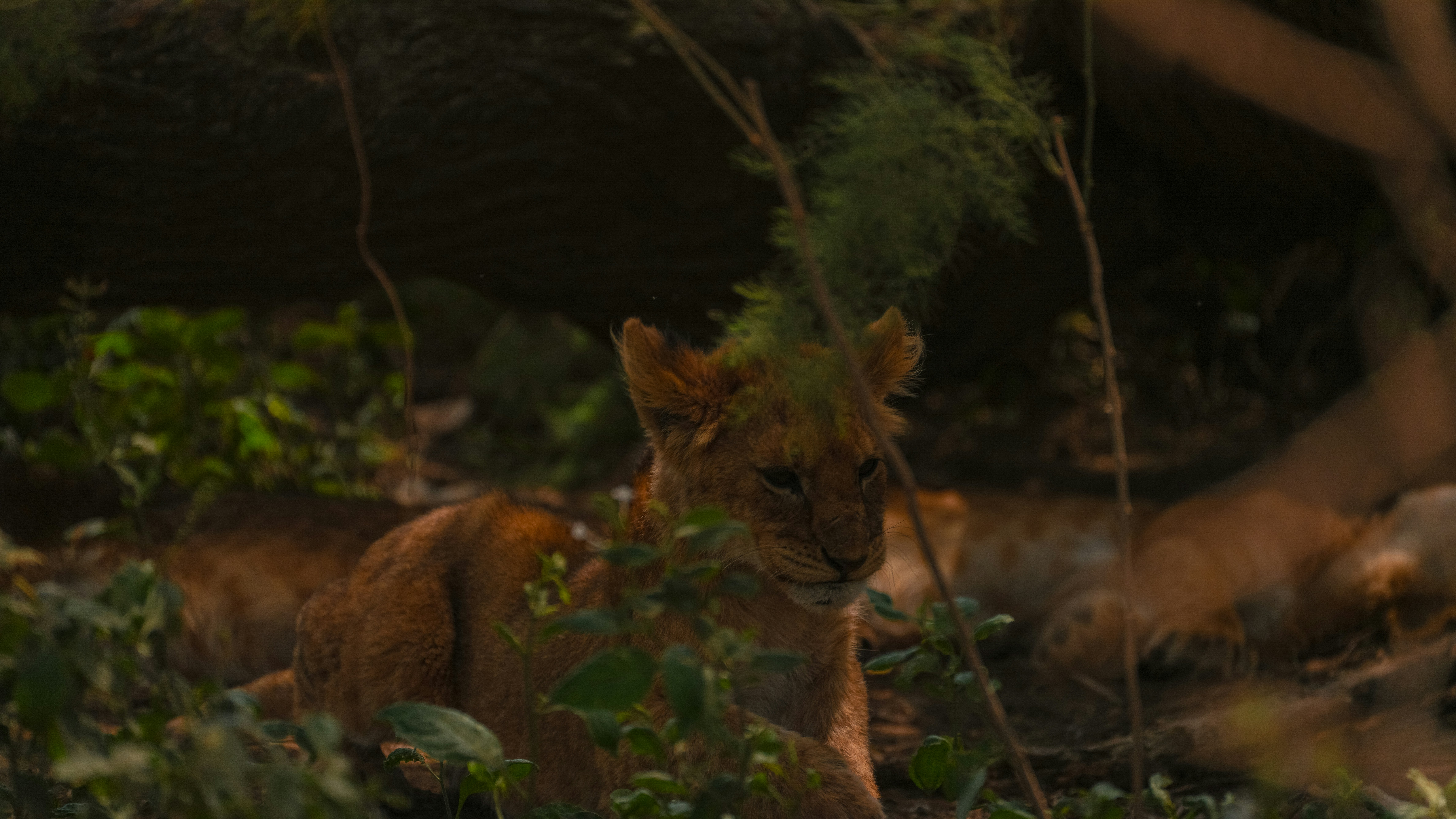 Photo by alexningphotography