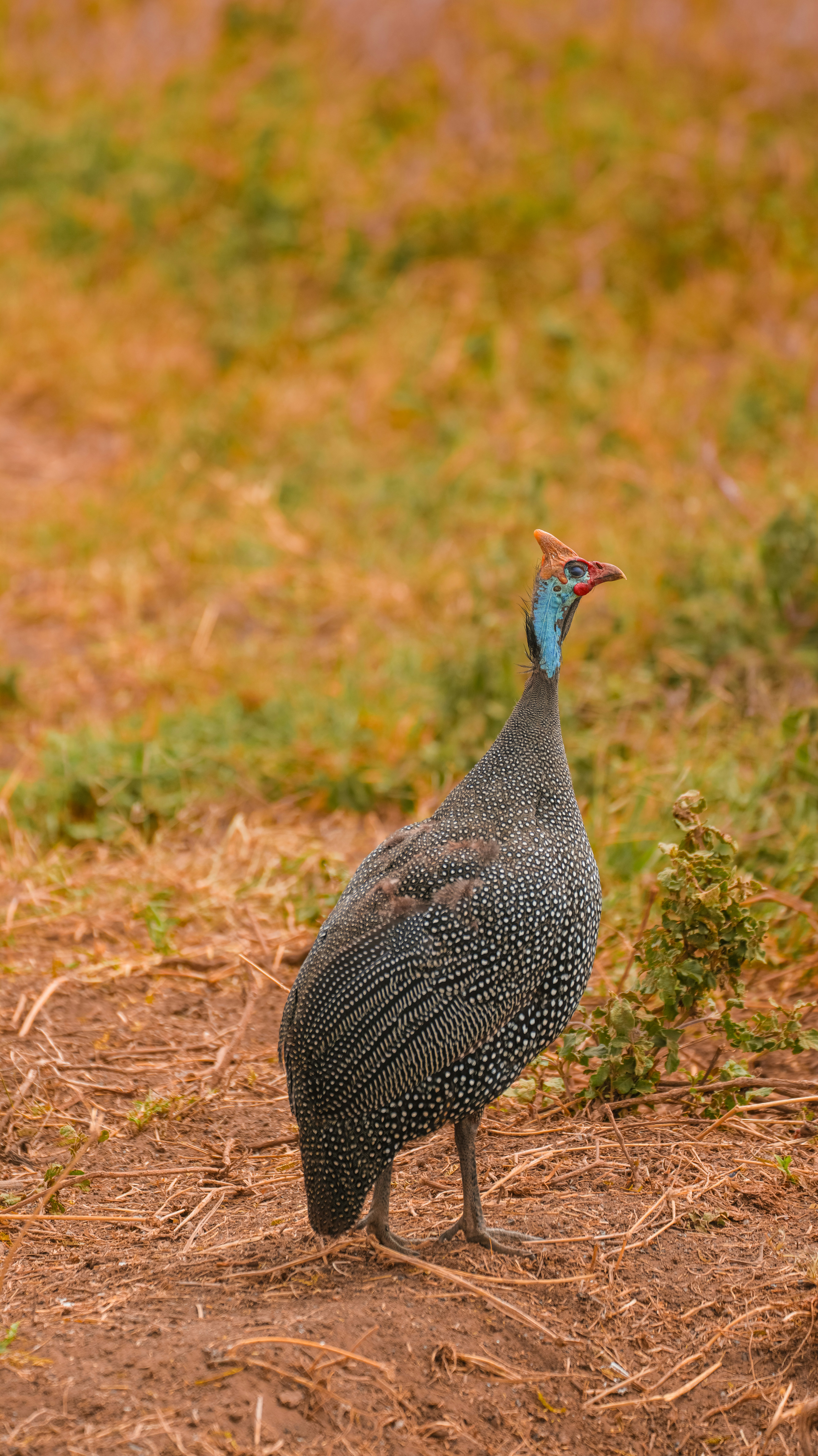 Photo by alexningphotography