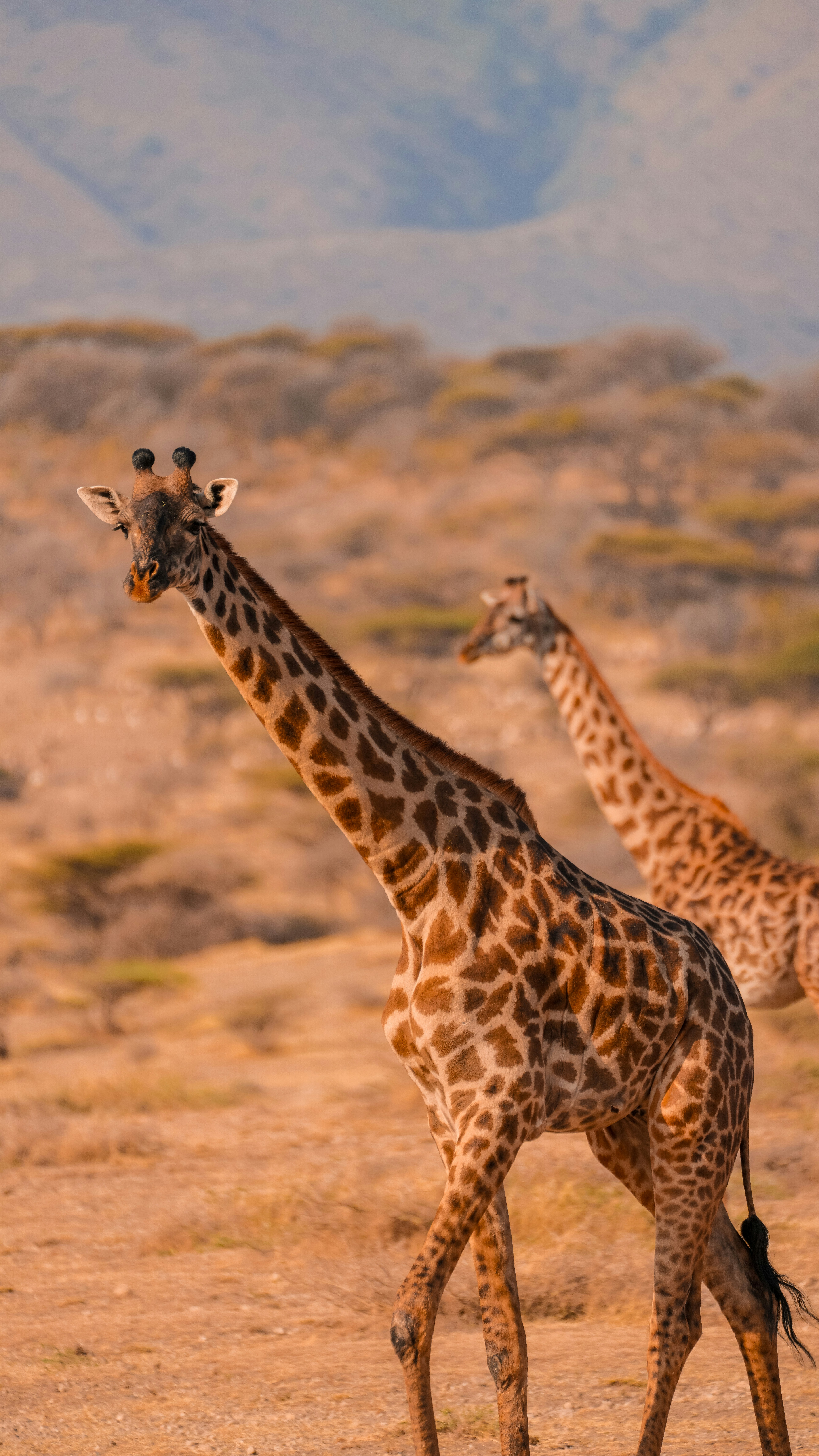 Photo by alexningphotography