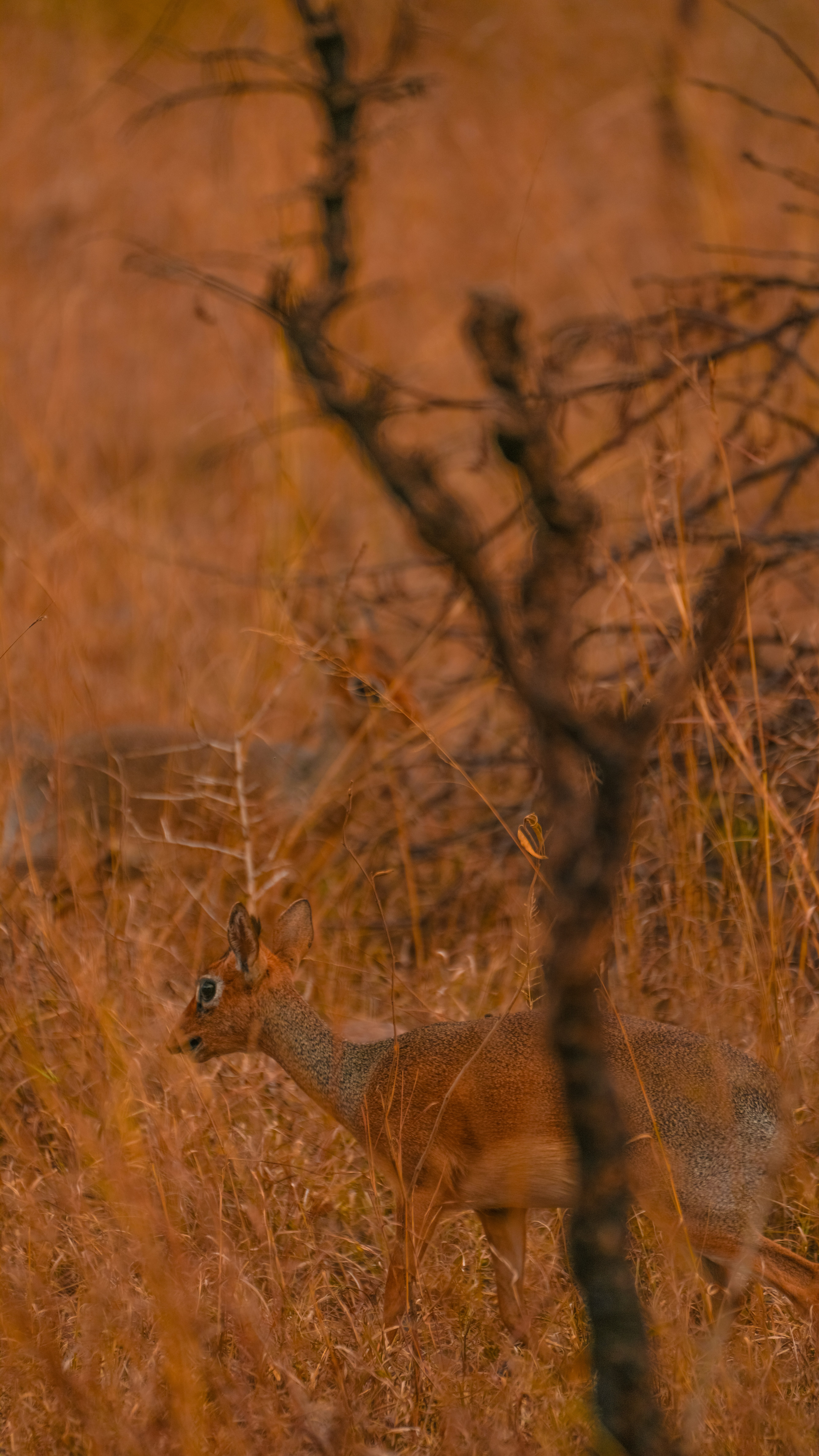 Photo by alexningphotography