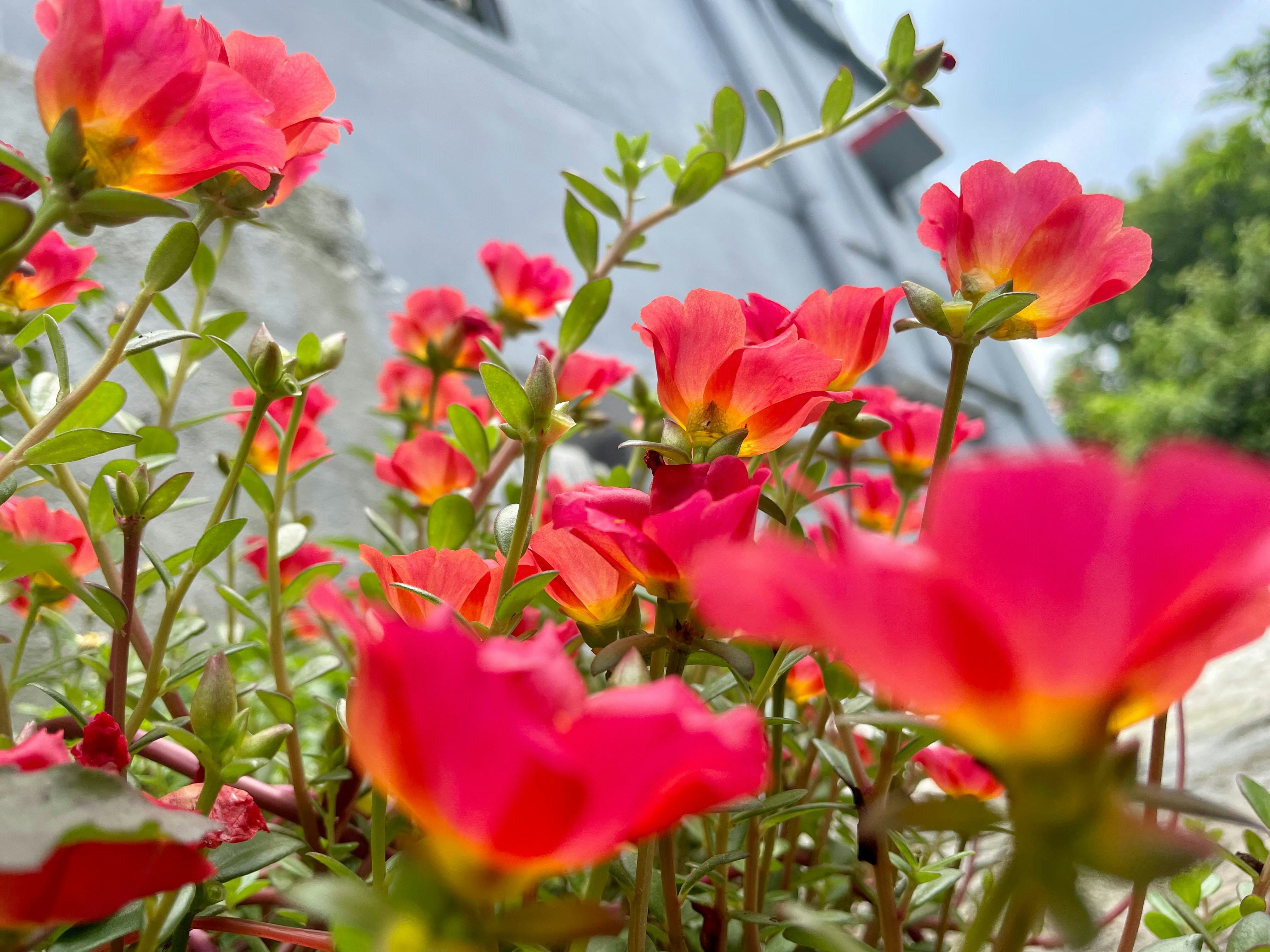 Photo by sahil__1734__k