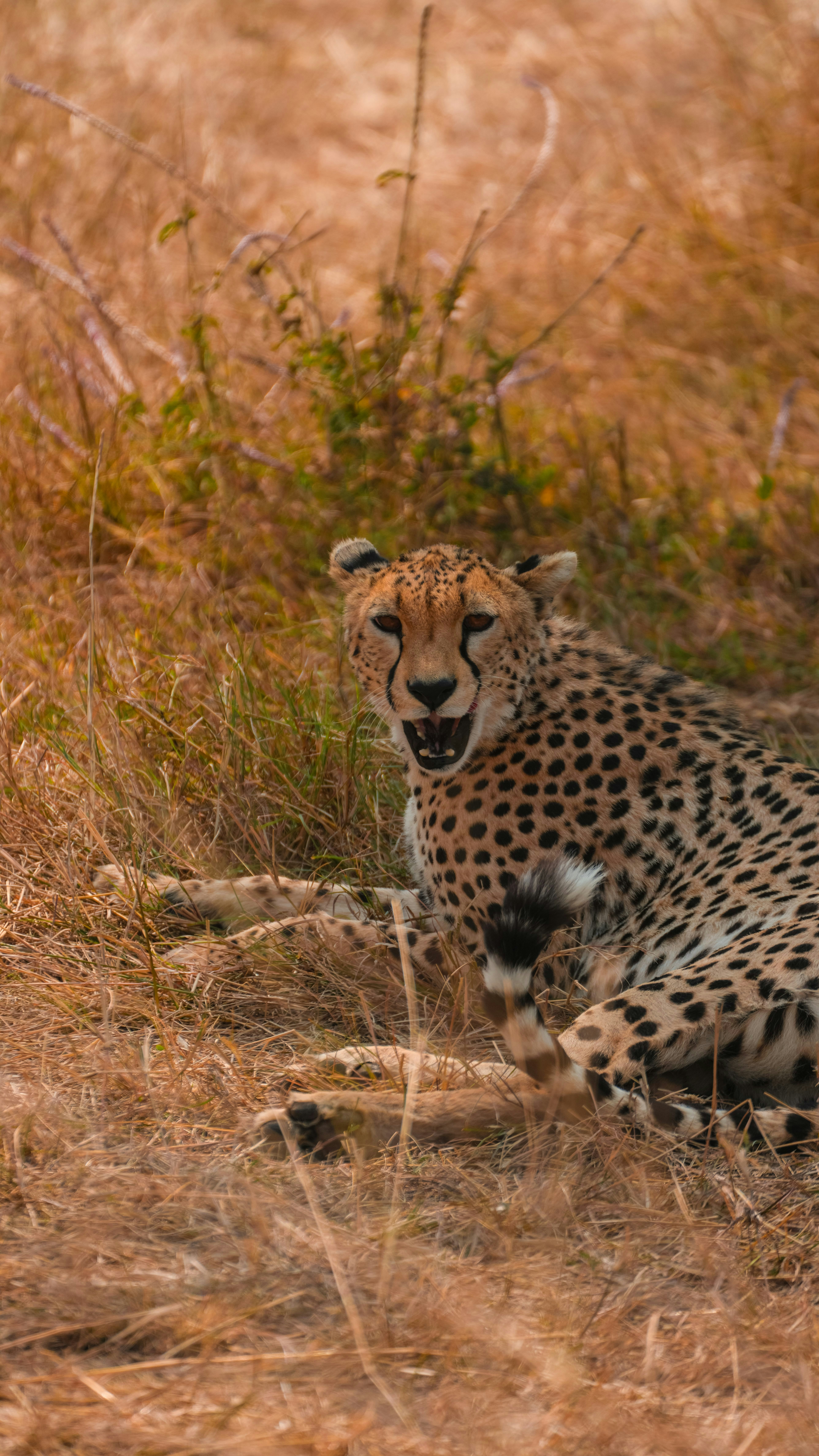 Photo by alexningphotography