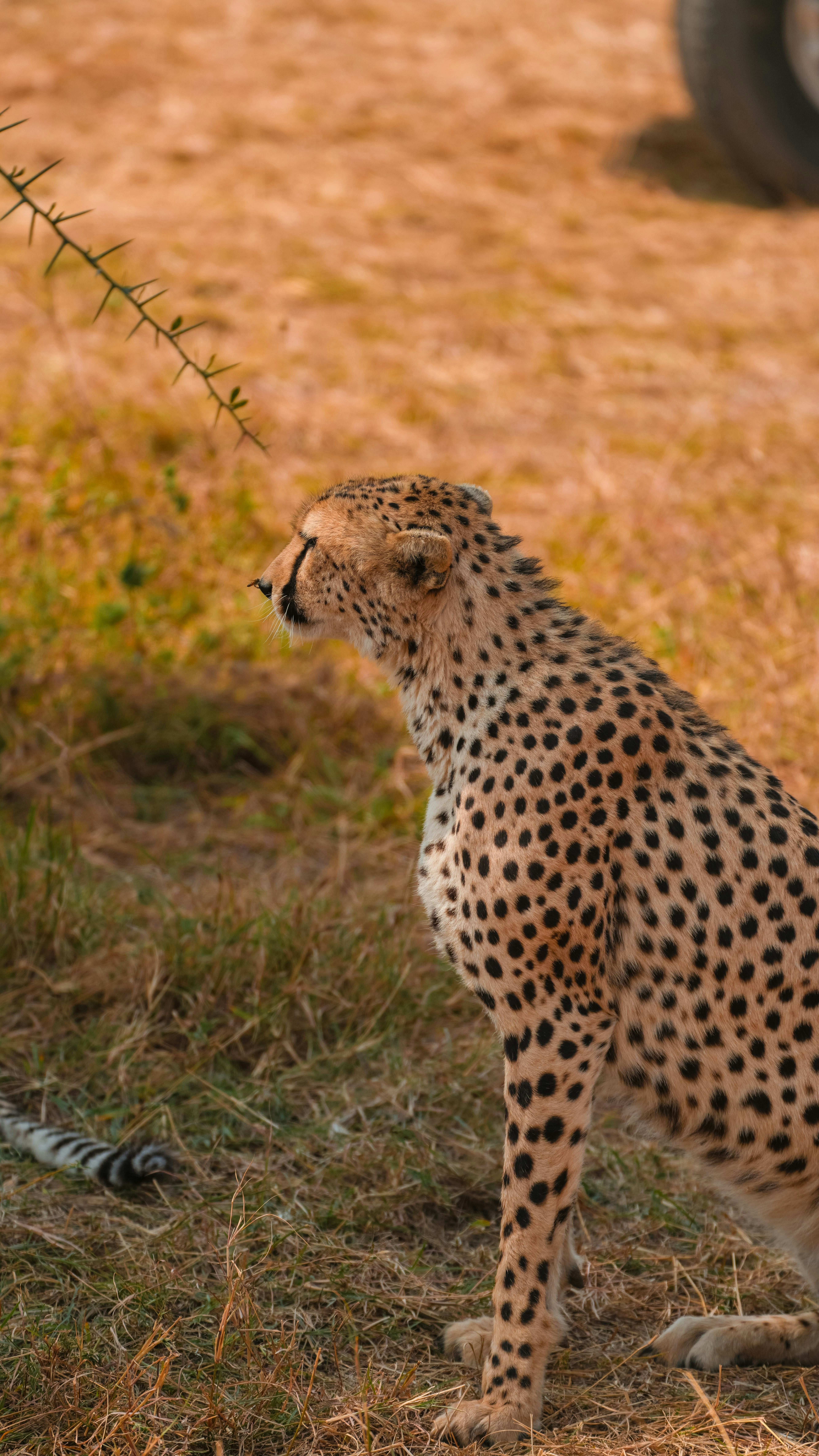 Photo by alexningphotography